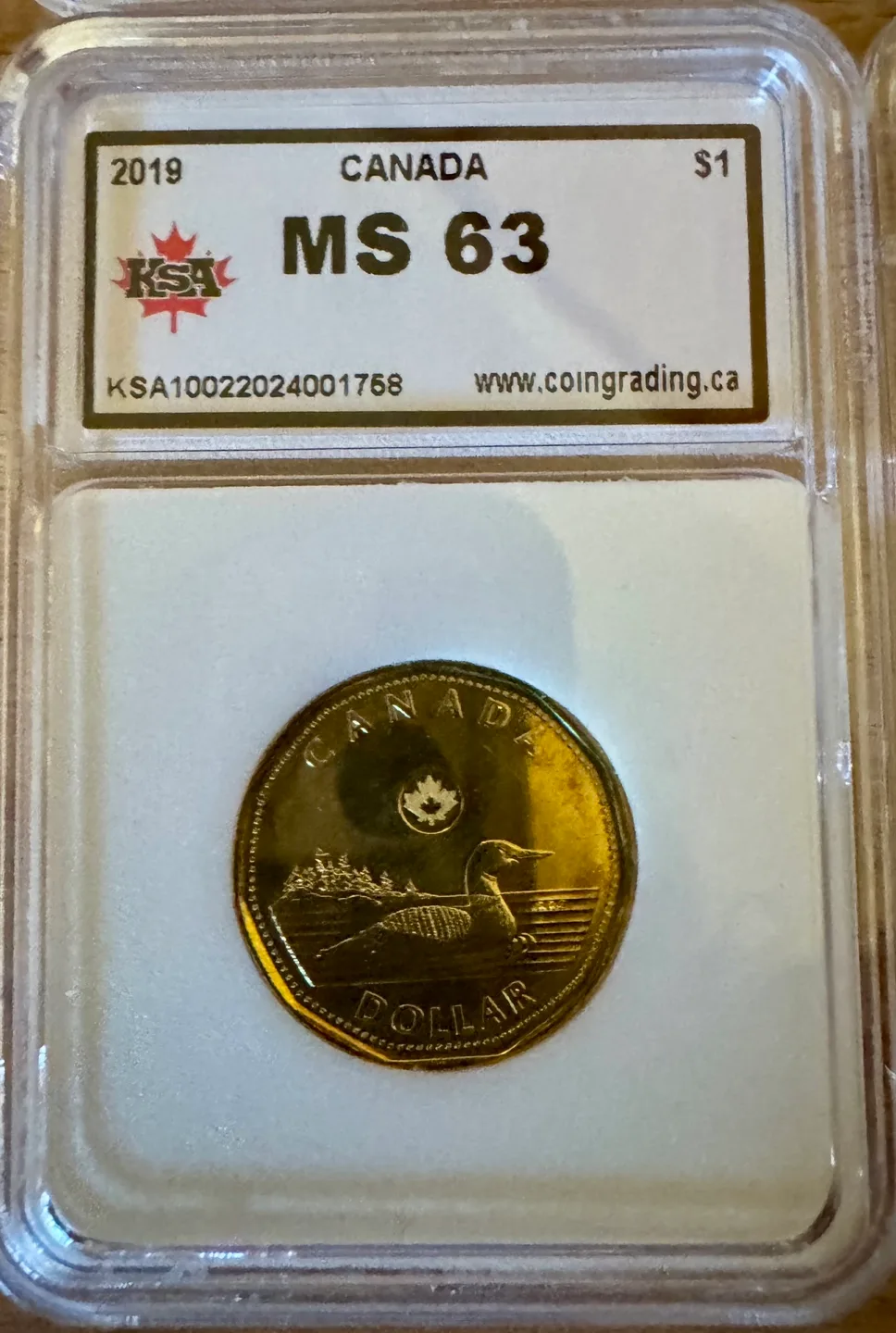 7 Canadian Graded Coins - 2019, 2020, 2021 image indicator(8)