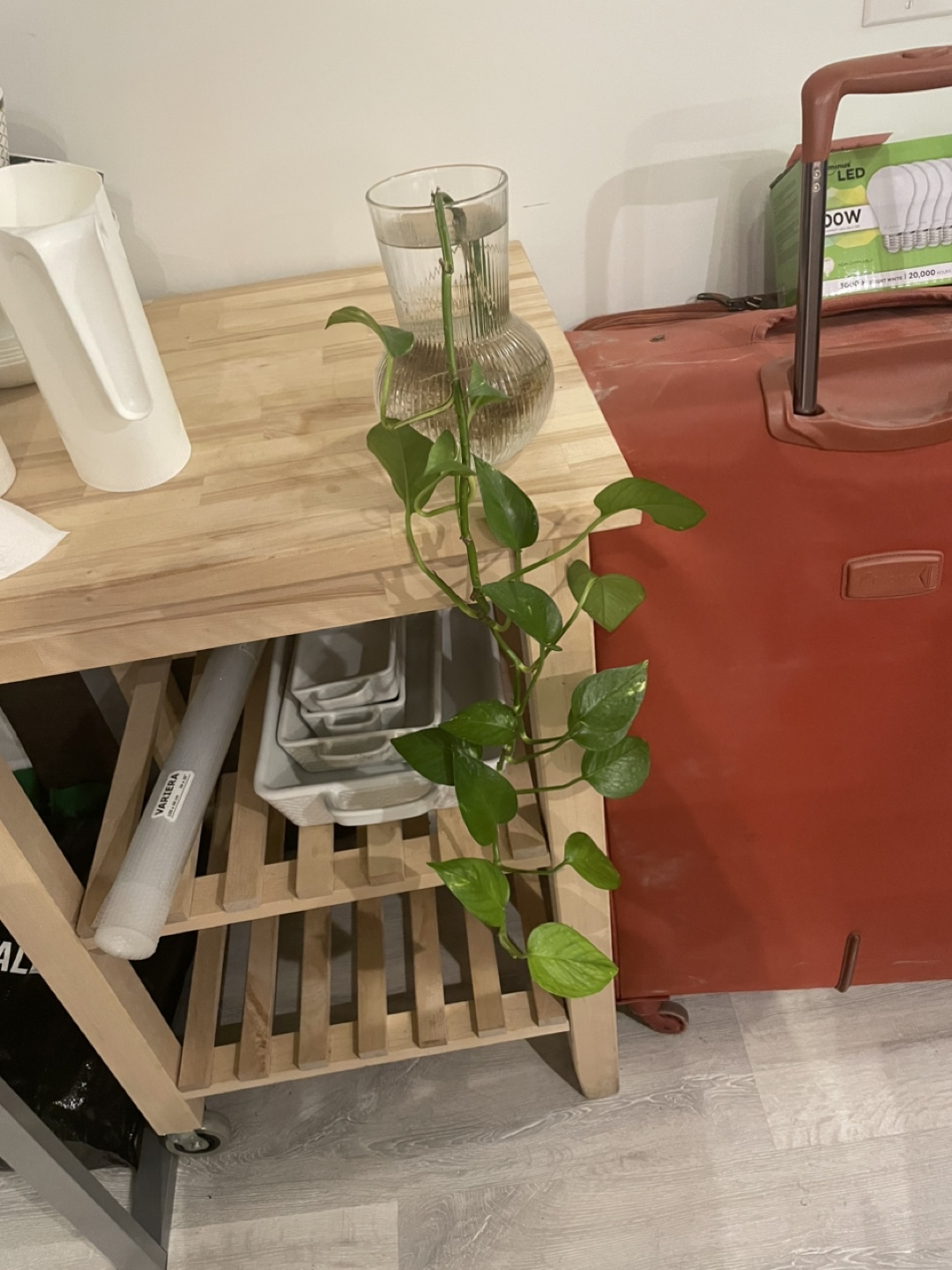 Potted Plant with Glass Vase