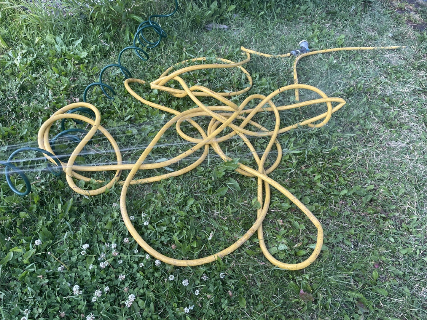 Yellow Garden Hose