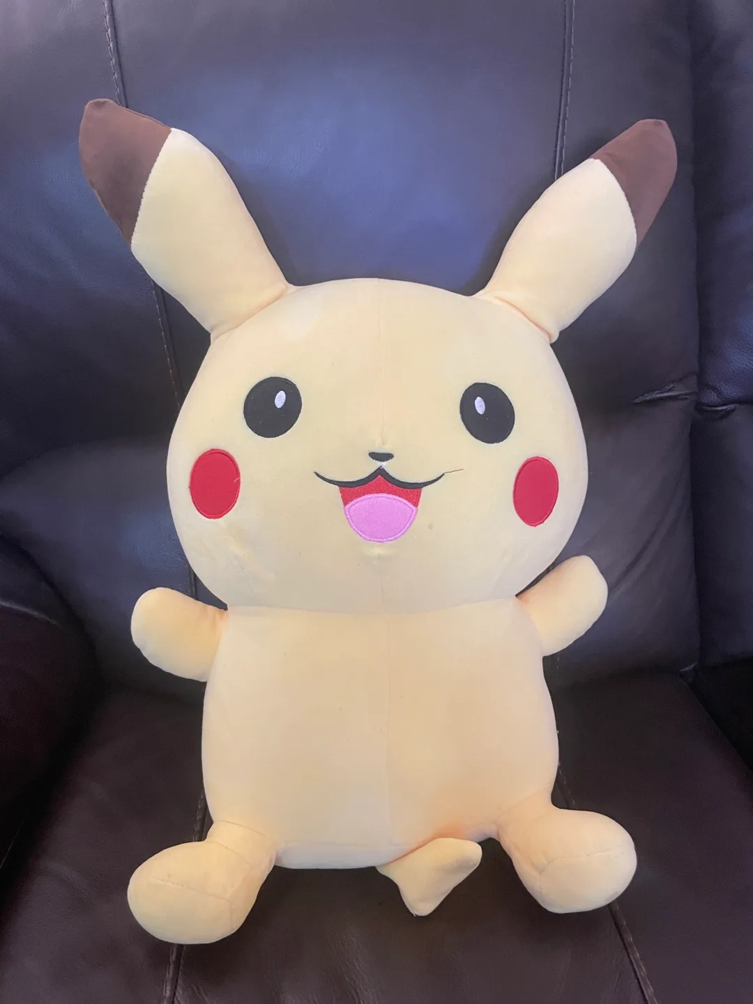 Pikachu Plush Toy thumbnail