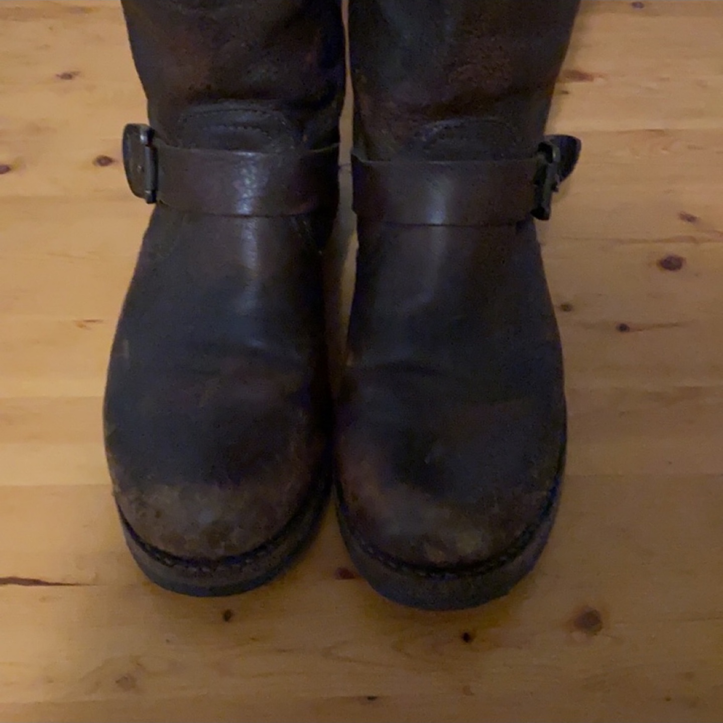 Frye Veronica Slouch Leather Boots in Cognac size 8.5 OBO - photo 3