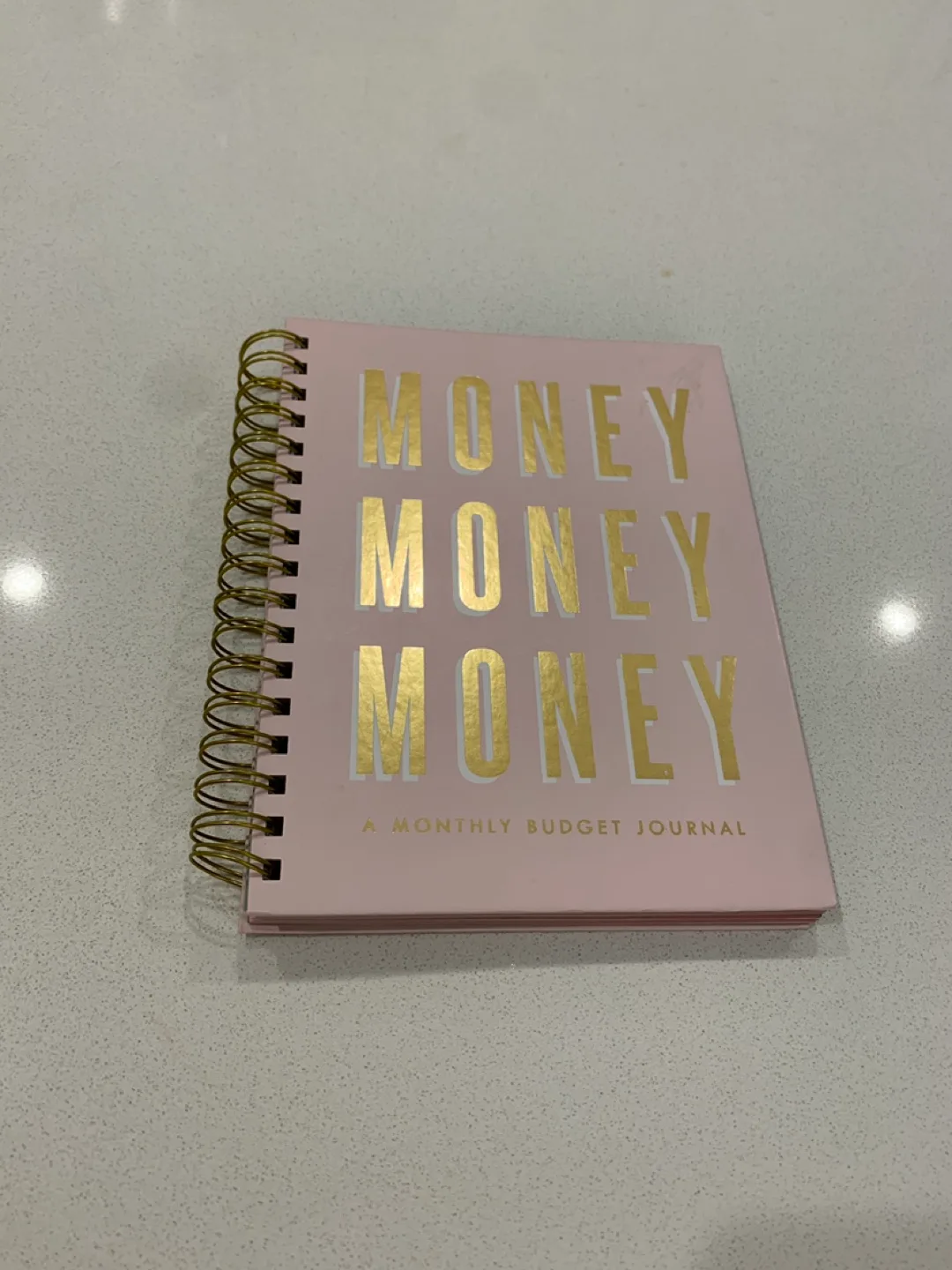 Money Money Money Monthly Budget Journal thumbnail