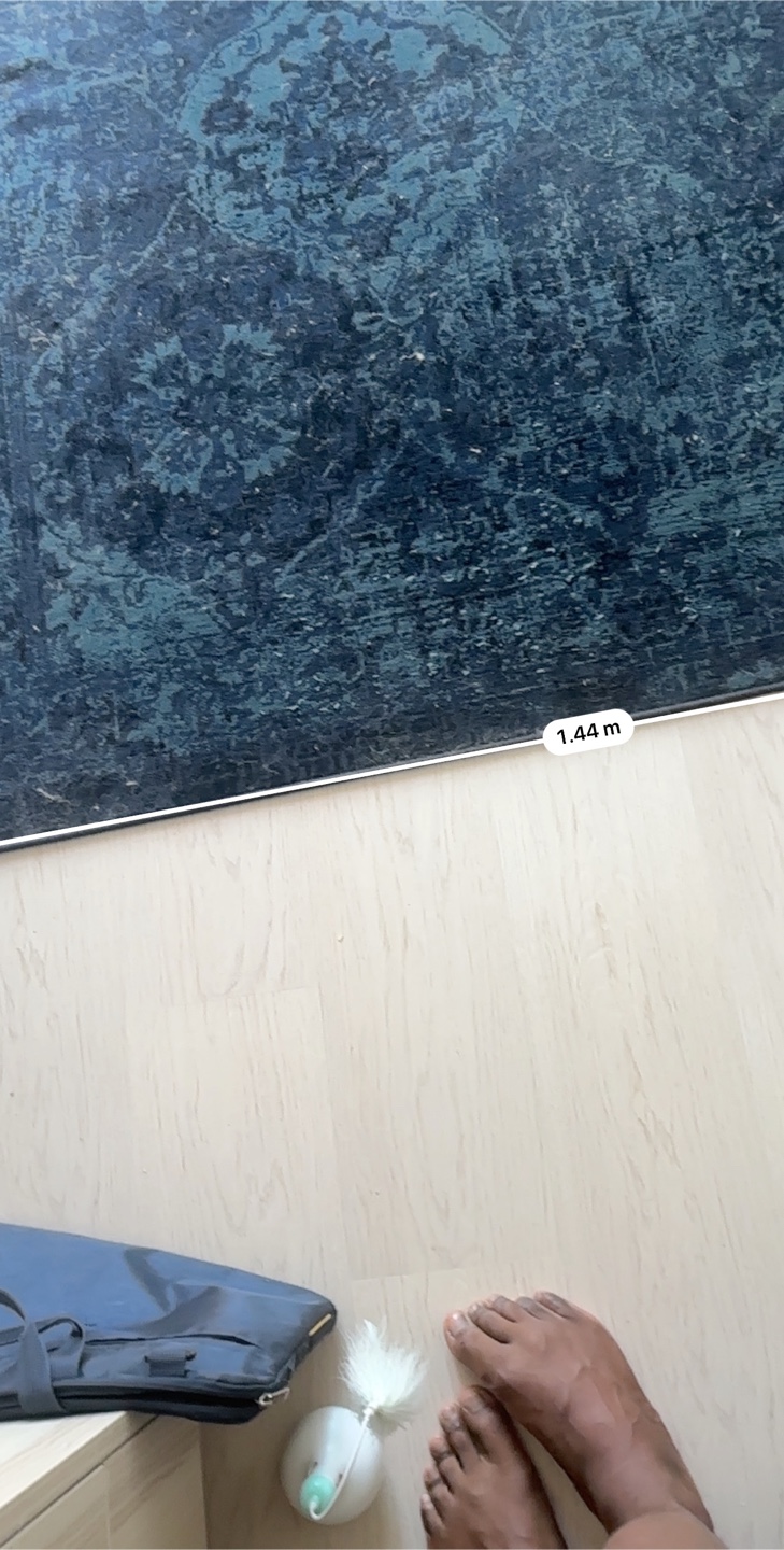Area Rug - 2.32m x 1.44m - photo 3