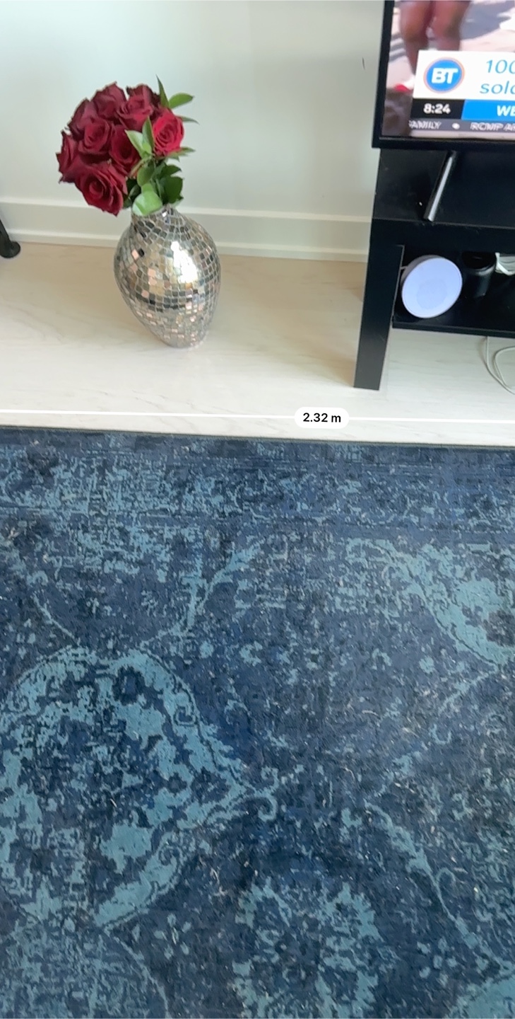 Area Rug - 2.32m x 1.44m - photo 2