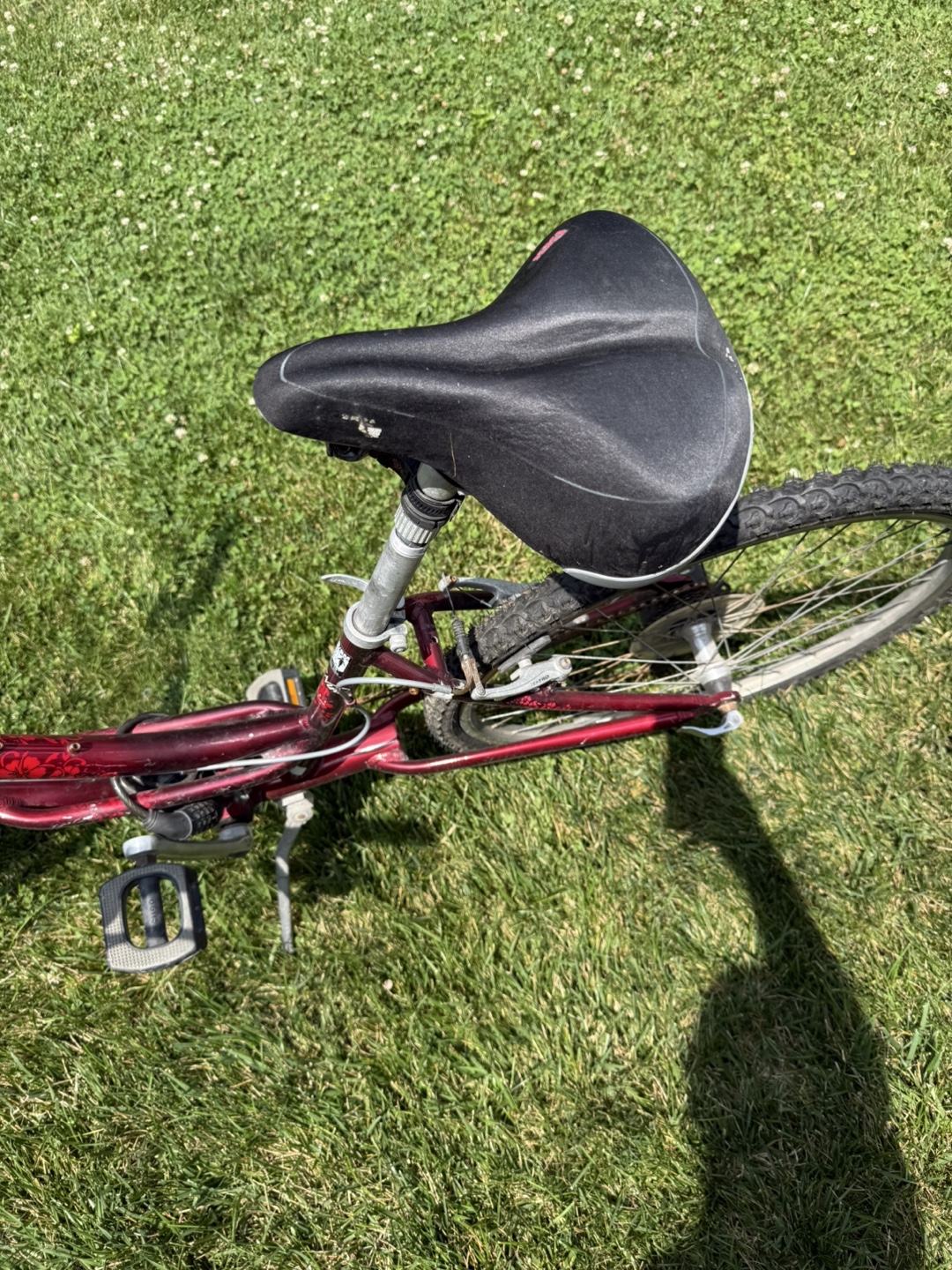 Free bikes - photo 3