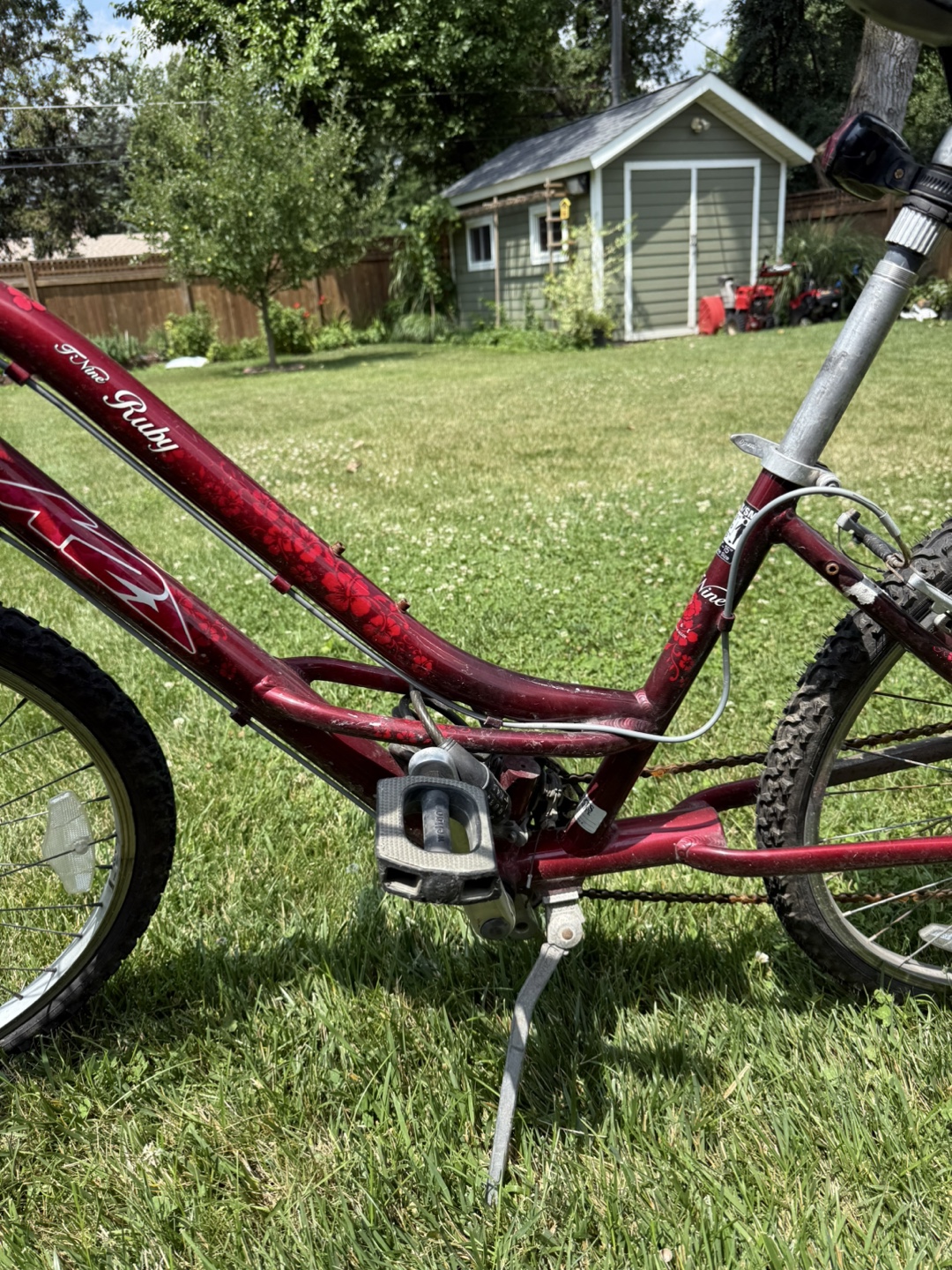 Free bikes - photo 4