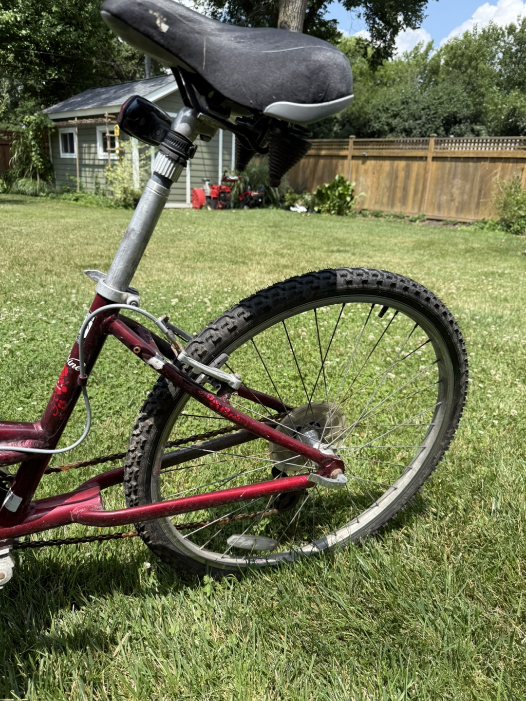 Free bikes - photo 5
