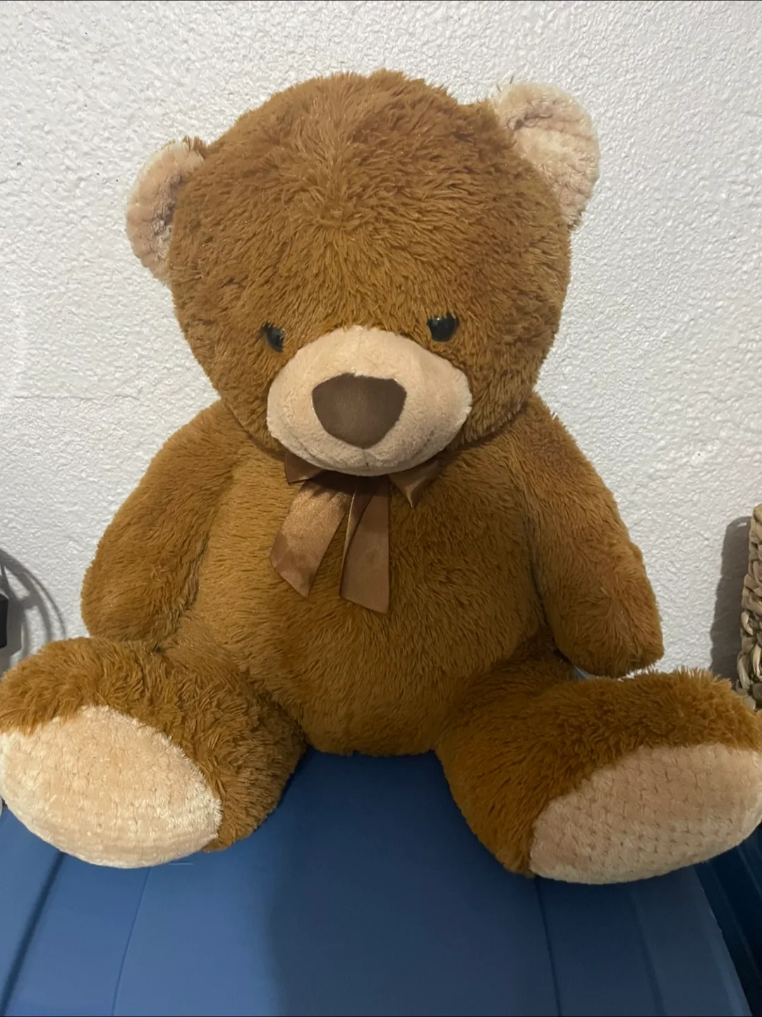 Giant Plush Teddy Bear thumbnail