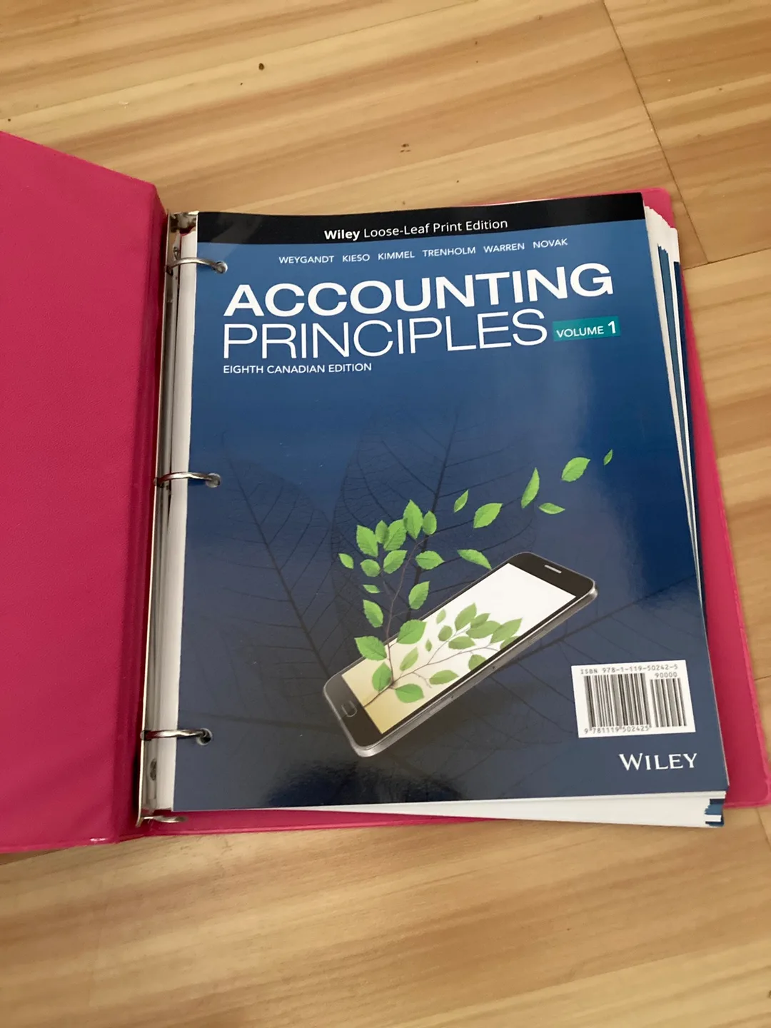 Accounting Principles Volume 1 - Textbook thumbnail