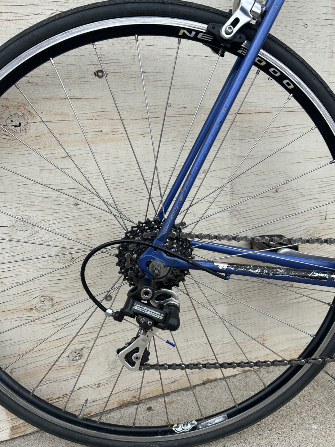 Bianchi Road Bike - Blue - photo 5