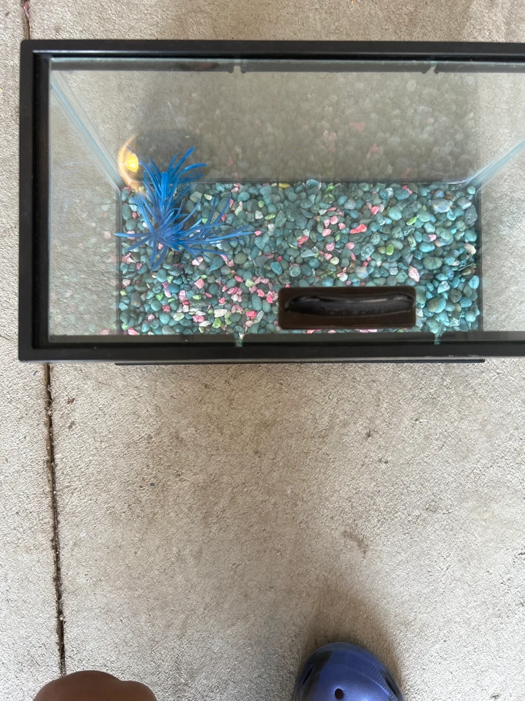 Aqueon Fish Tank with Accessories image indicator(2)