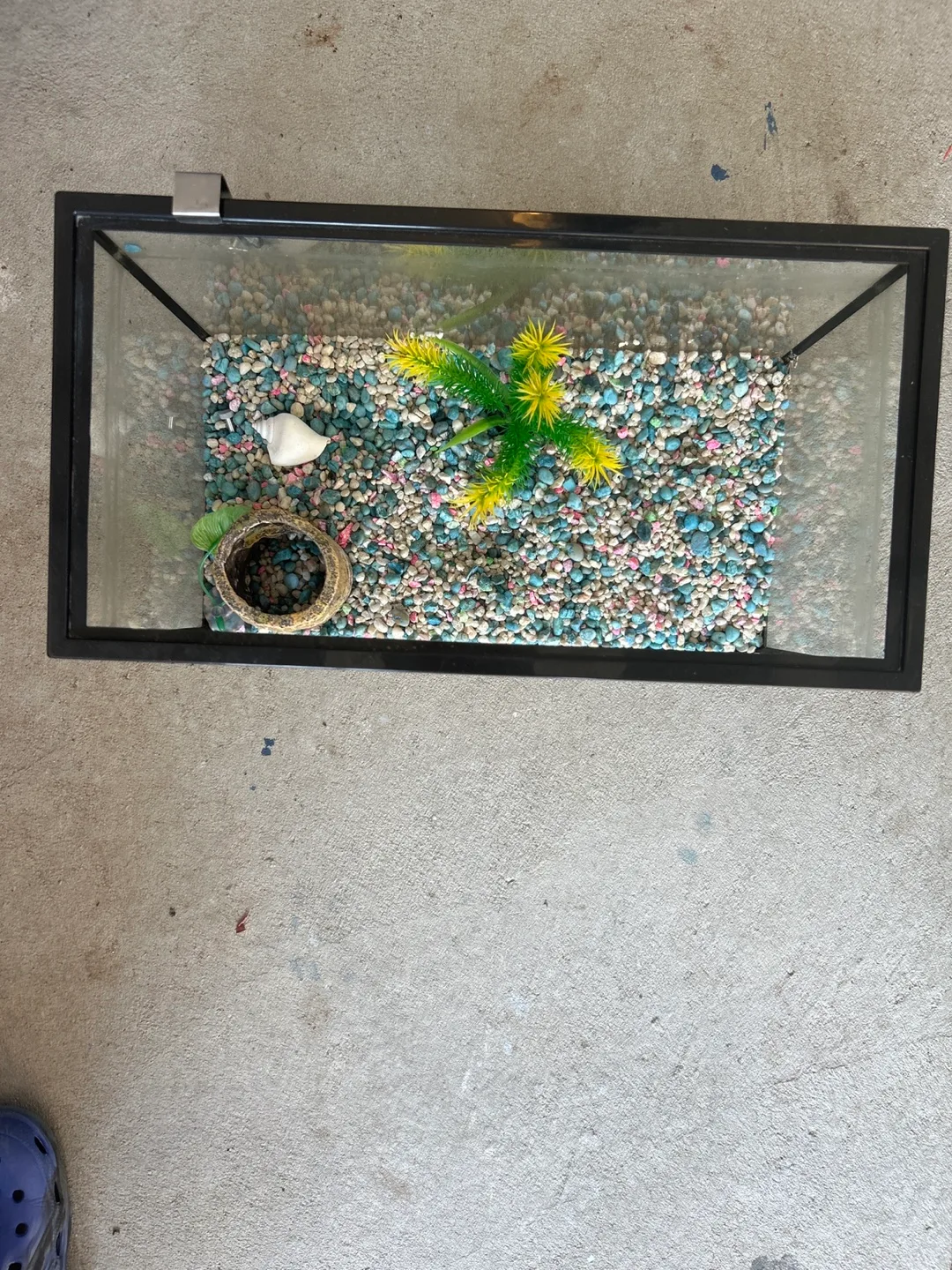 Fish Tank with Accessories image indicator(2)