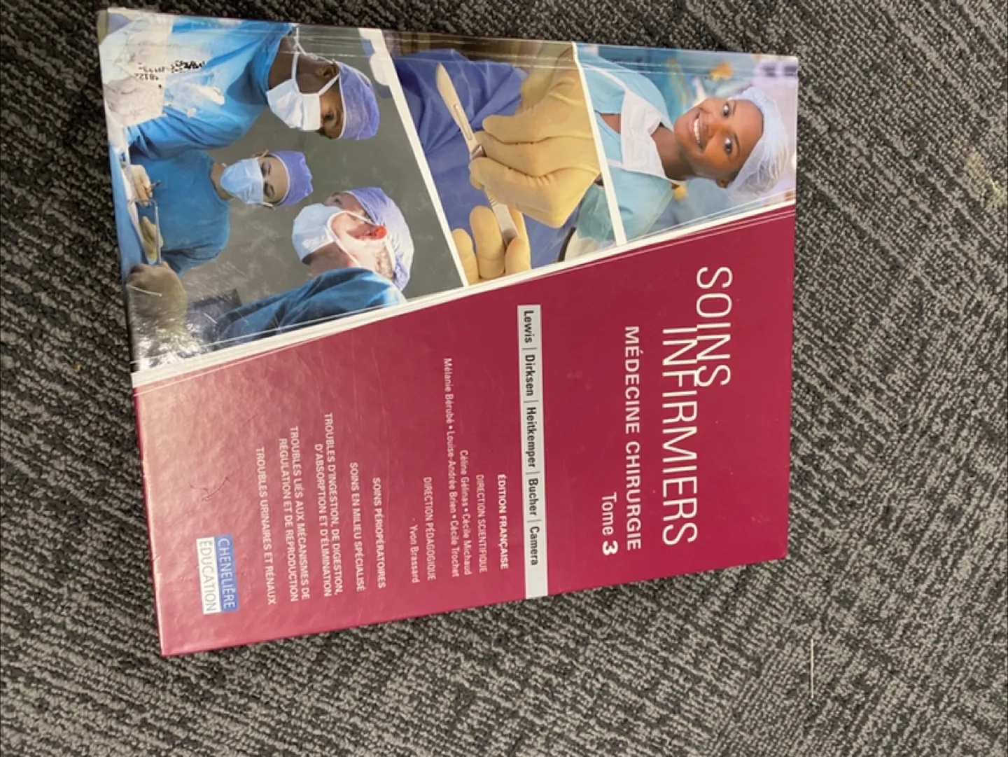 Soins Infirmiers: Théorie et Pratique, 2nd Edition image indicator(4)