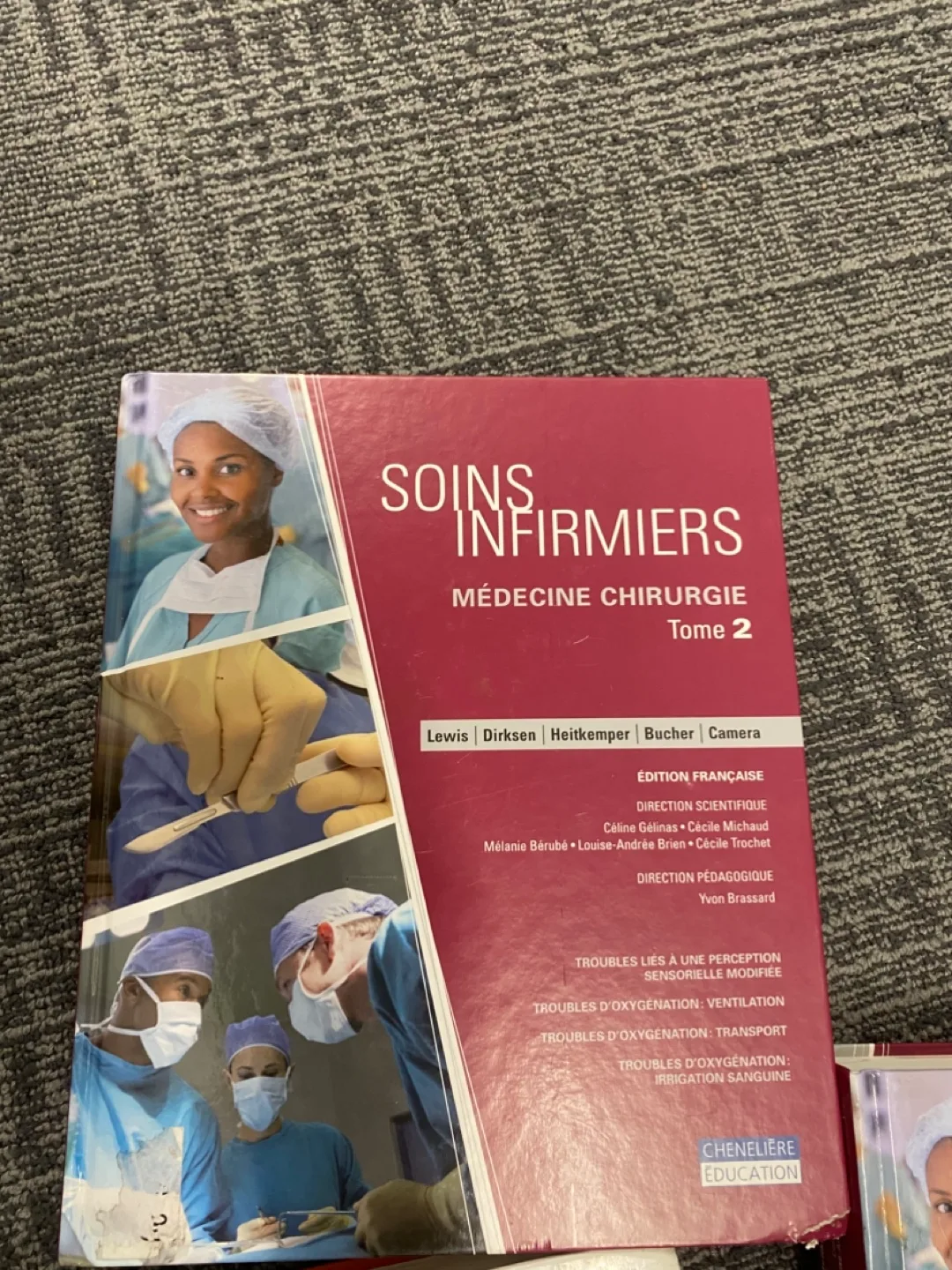 Soins Infirmiers: Théorie et Pratique, 2nd Edition image indicator(7)