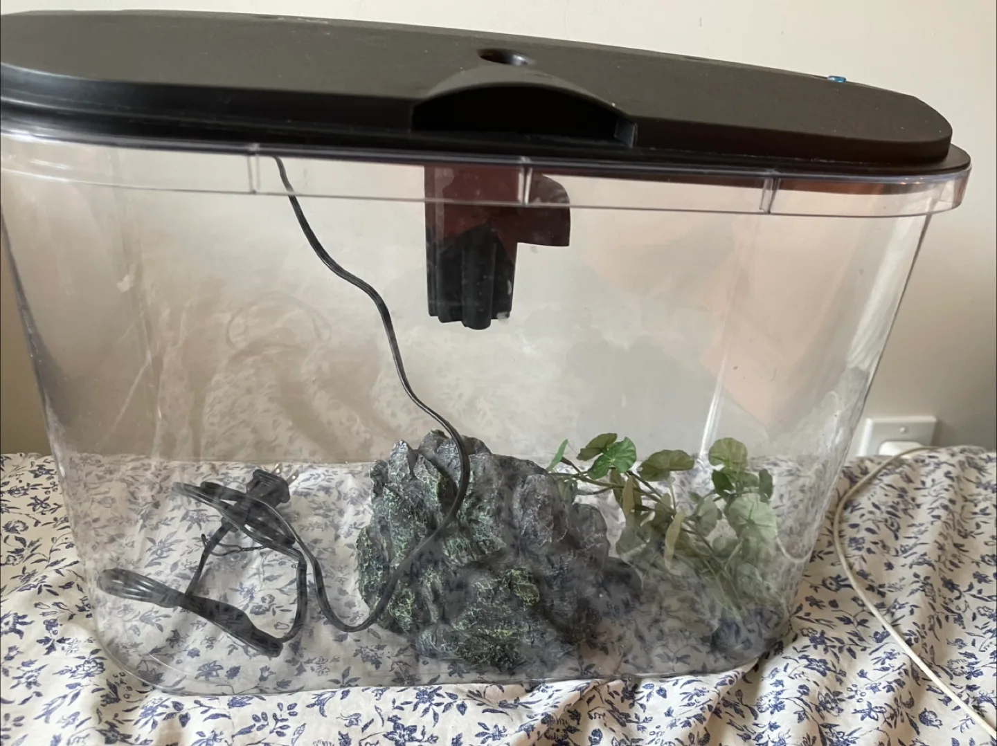 🥕Aqueon Betta Falls Kit thumbnail