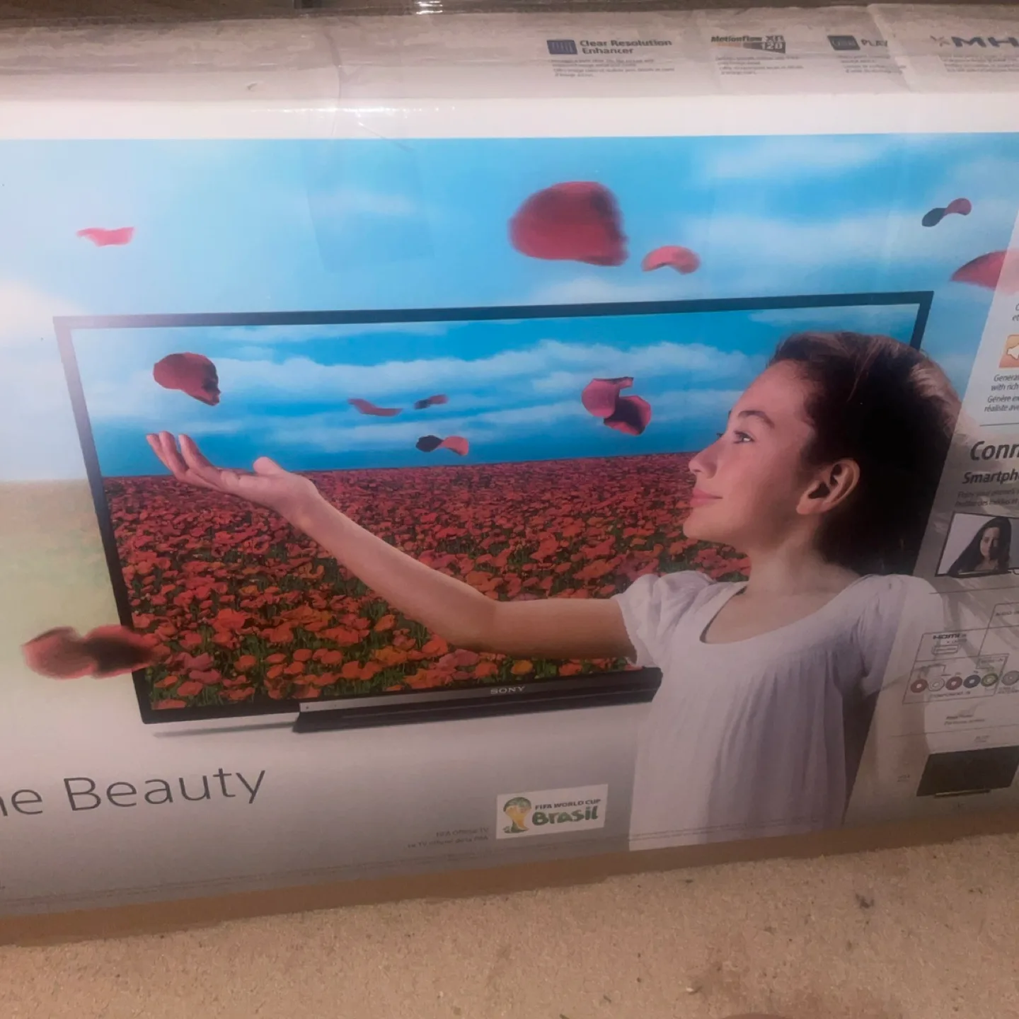 Sony Bravia R40 32" TV image indicator(3)