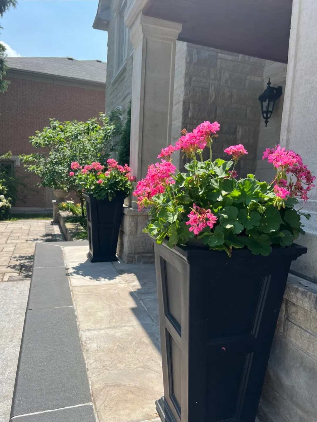 Tall Black Planters - with flowers image indicator(2)
