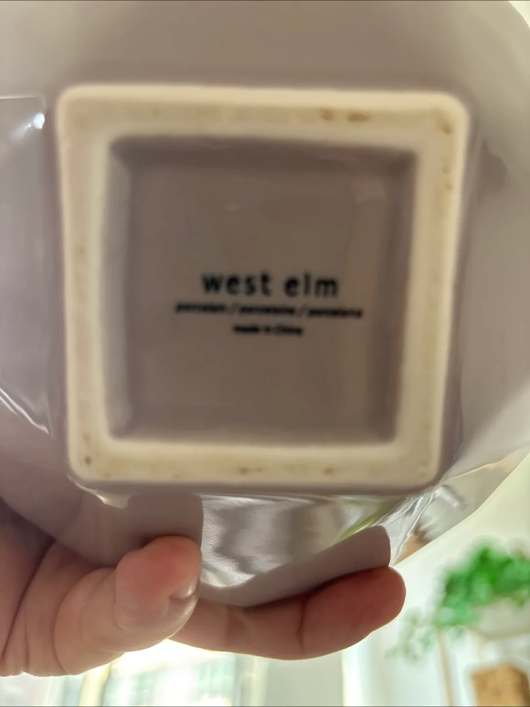 West Elm Vase with Dried Bunny Tails image indicator(4)