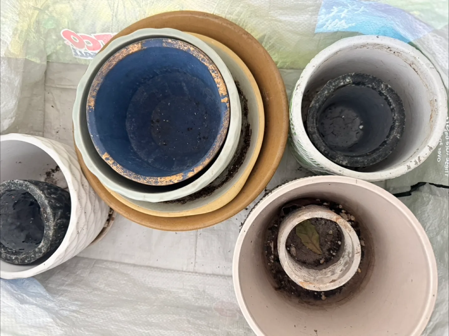 🇨🇦 Free bowls and planters 🇨🇦 image indicator(4)