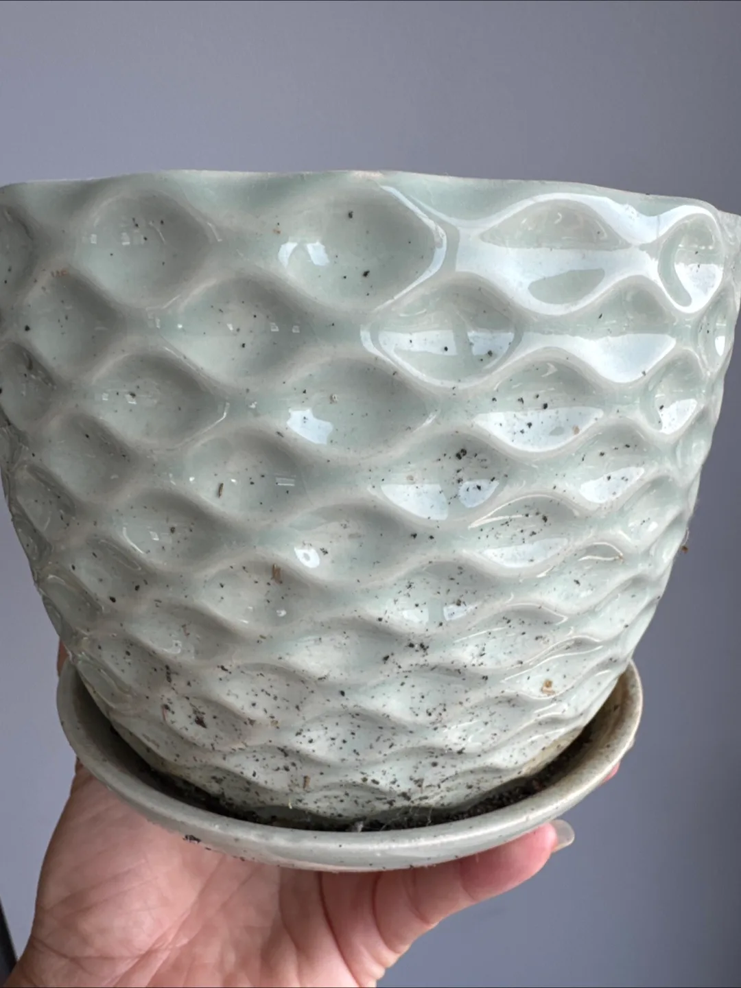 🇨🇦 Free bowls and planters 🇨🇦 image indicator(2)