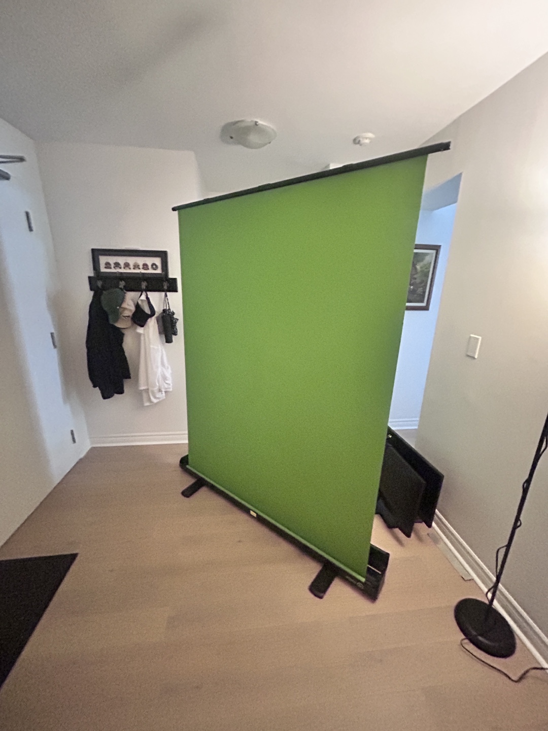 Green Screen Backdrop