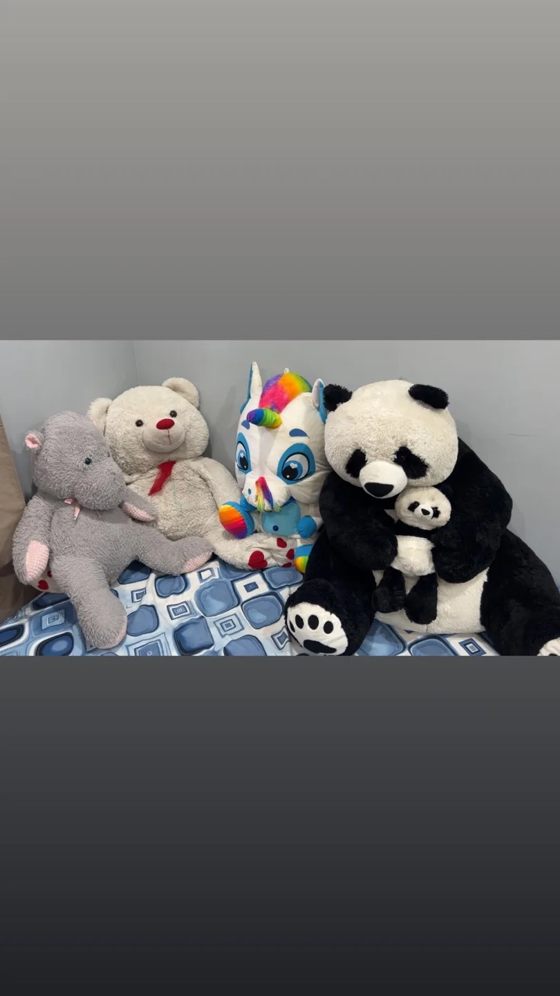 Assorted Plush Stuffed Animals thumbnail