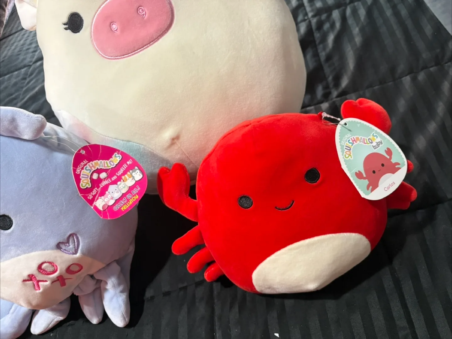 Squishmallows thumbnail