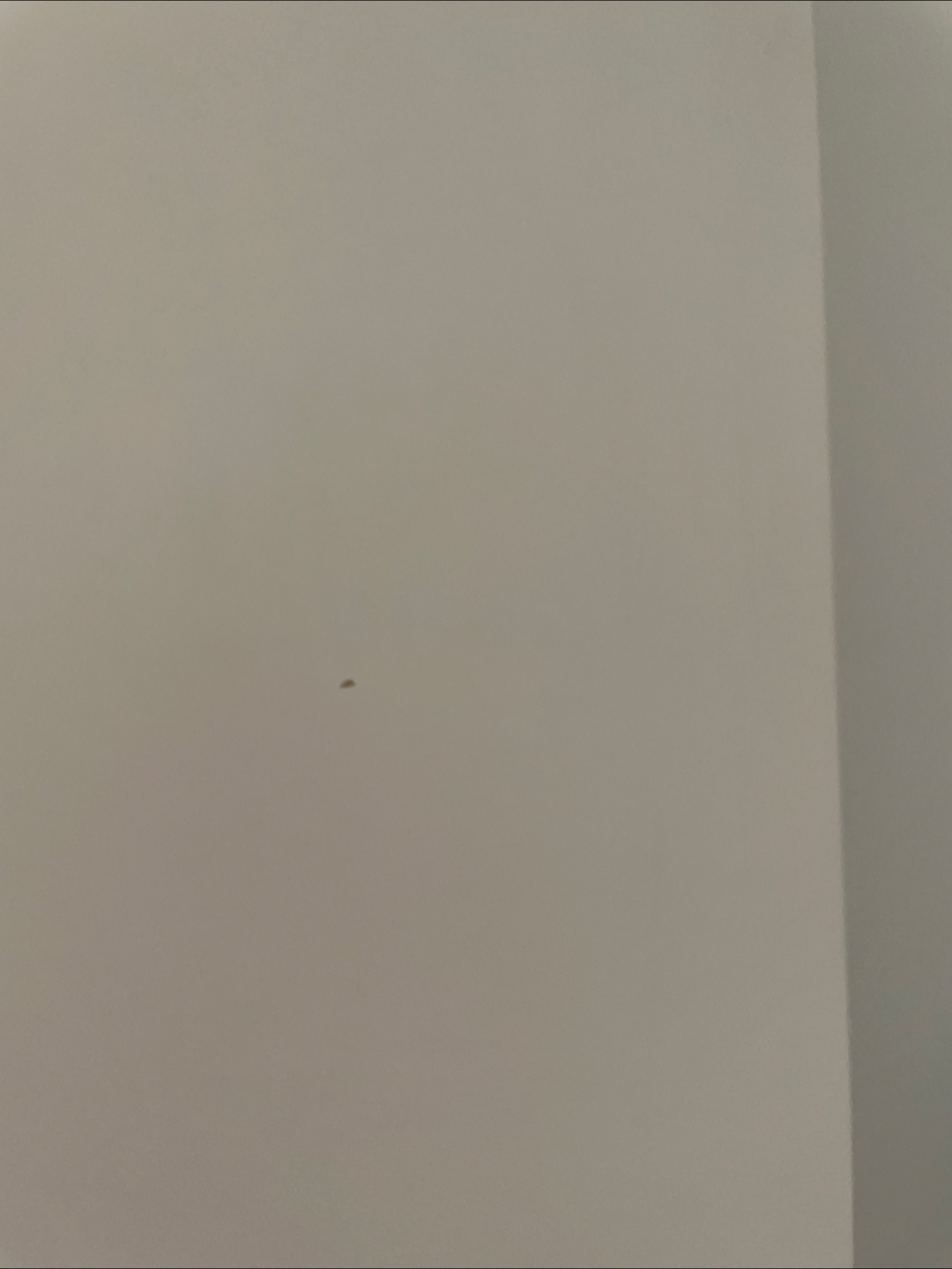 IKEA Desk with Drawer - photo 3
