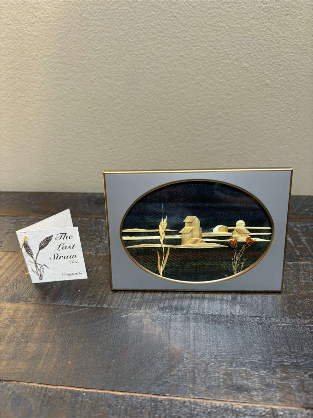 🇨🇦The Last Straw Inc. Originals Framed Art thumbnail