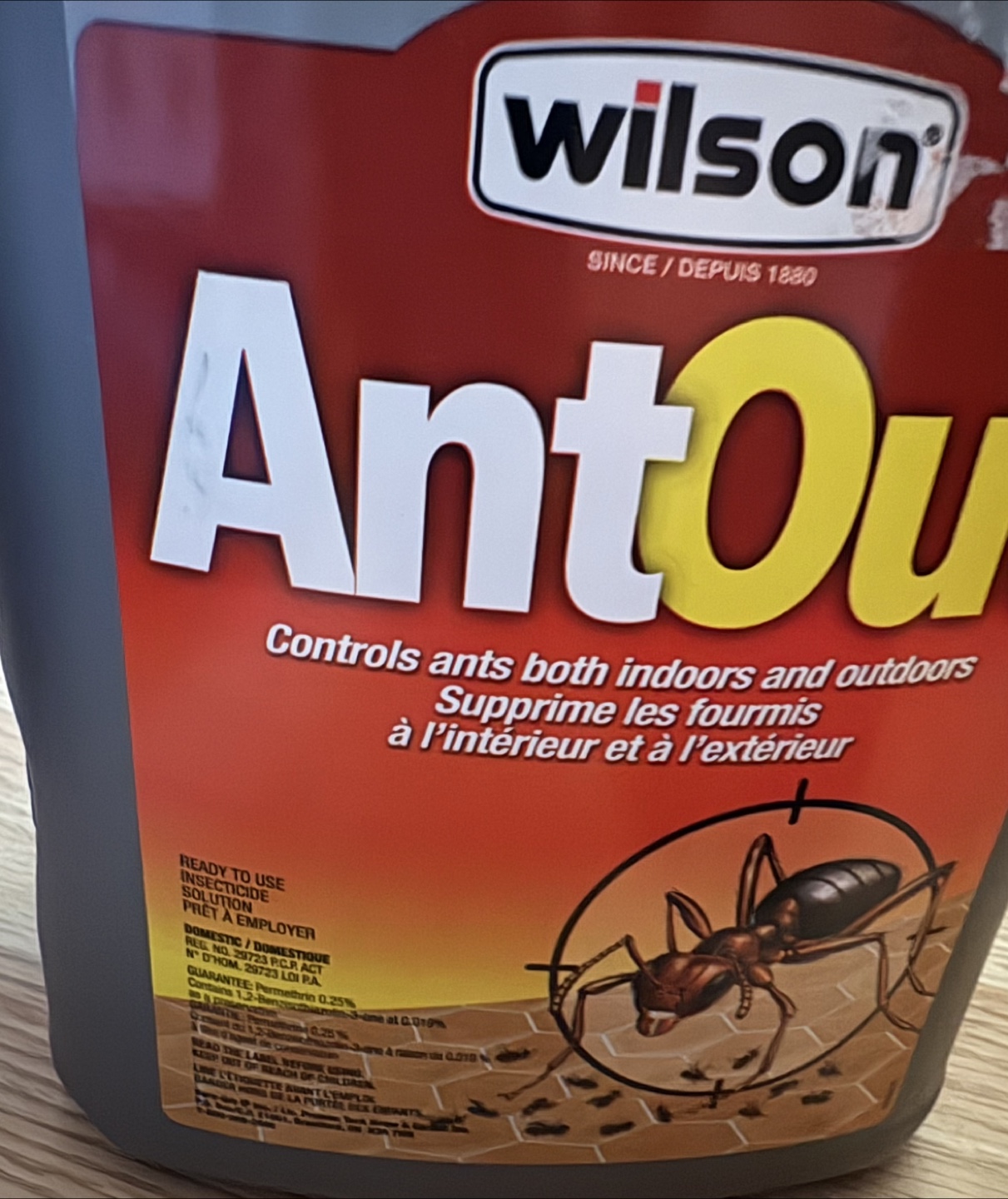 Wilson AntOut Ready-To-Use Insecticide
