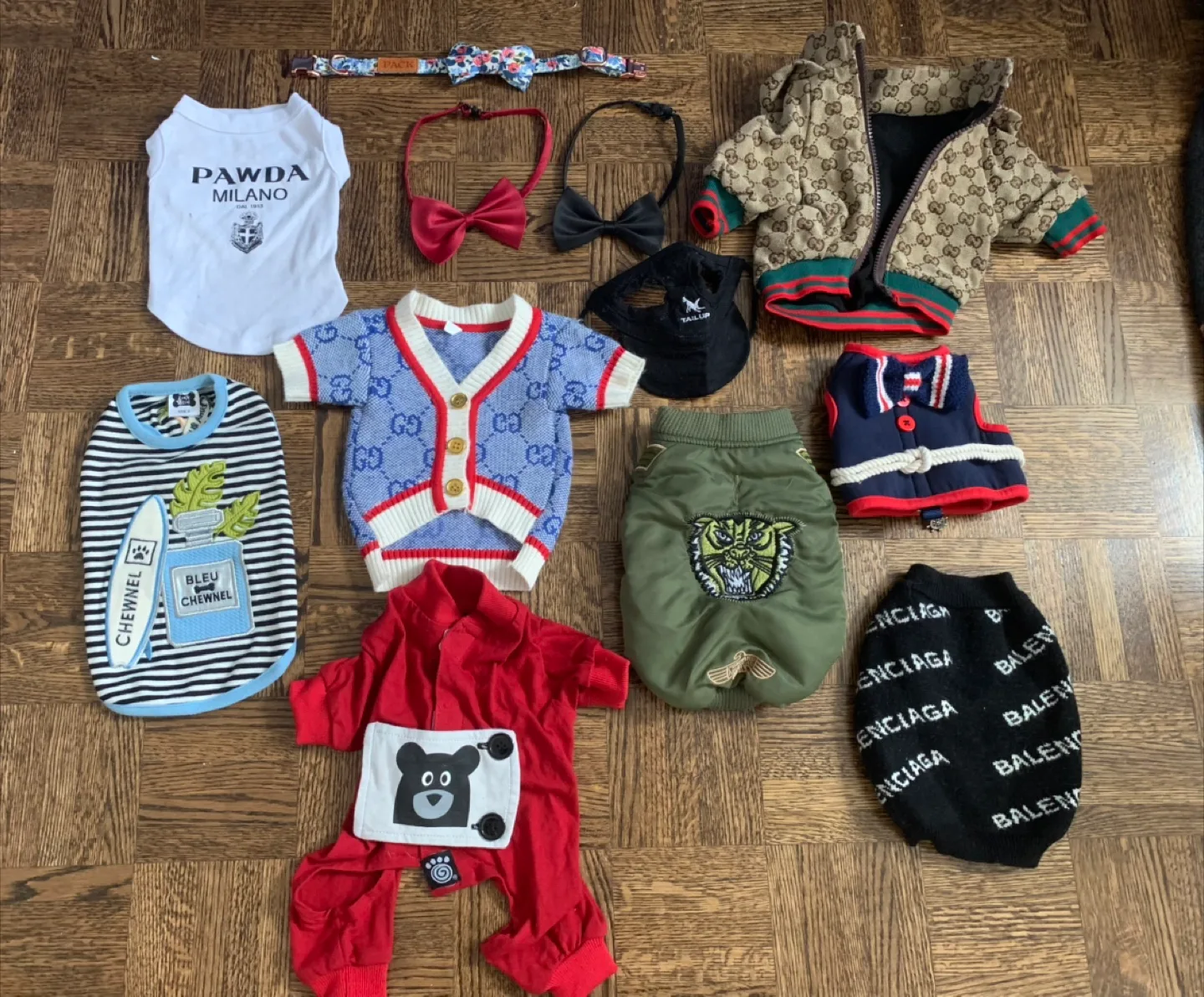 Dog Clothes Bundle: Balenciaga, Gucci, & More! thumbnail