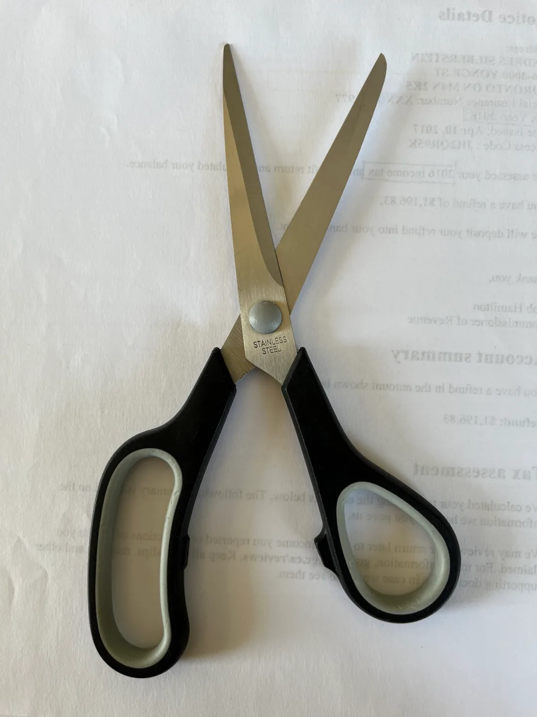 Stainless Steel Scissors thumbnail