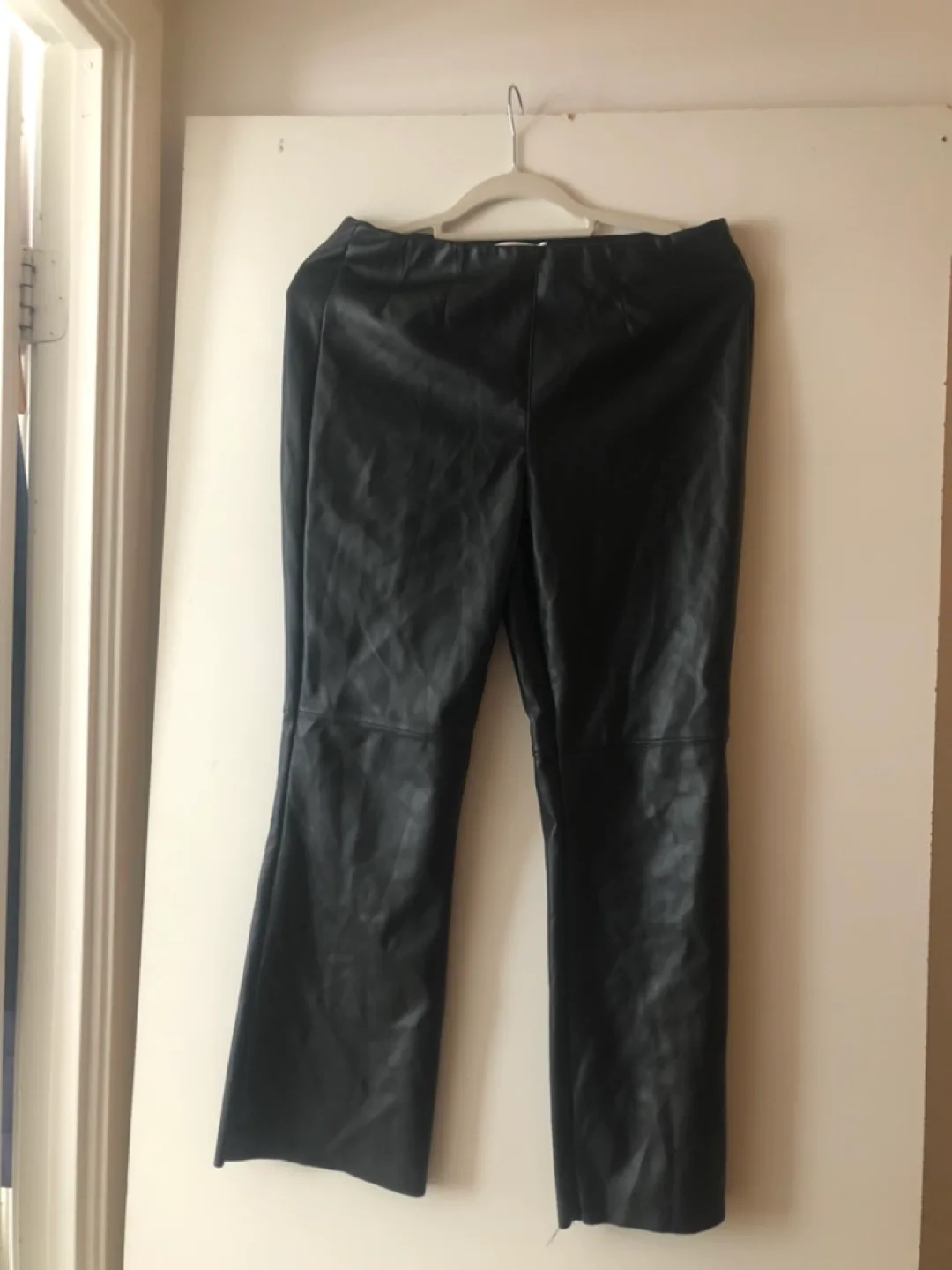 Vegan leather pants thumbnail