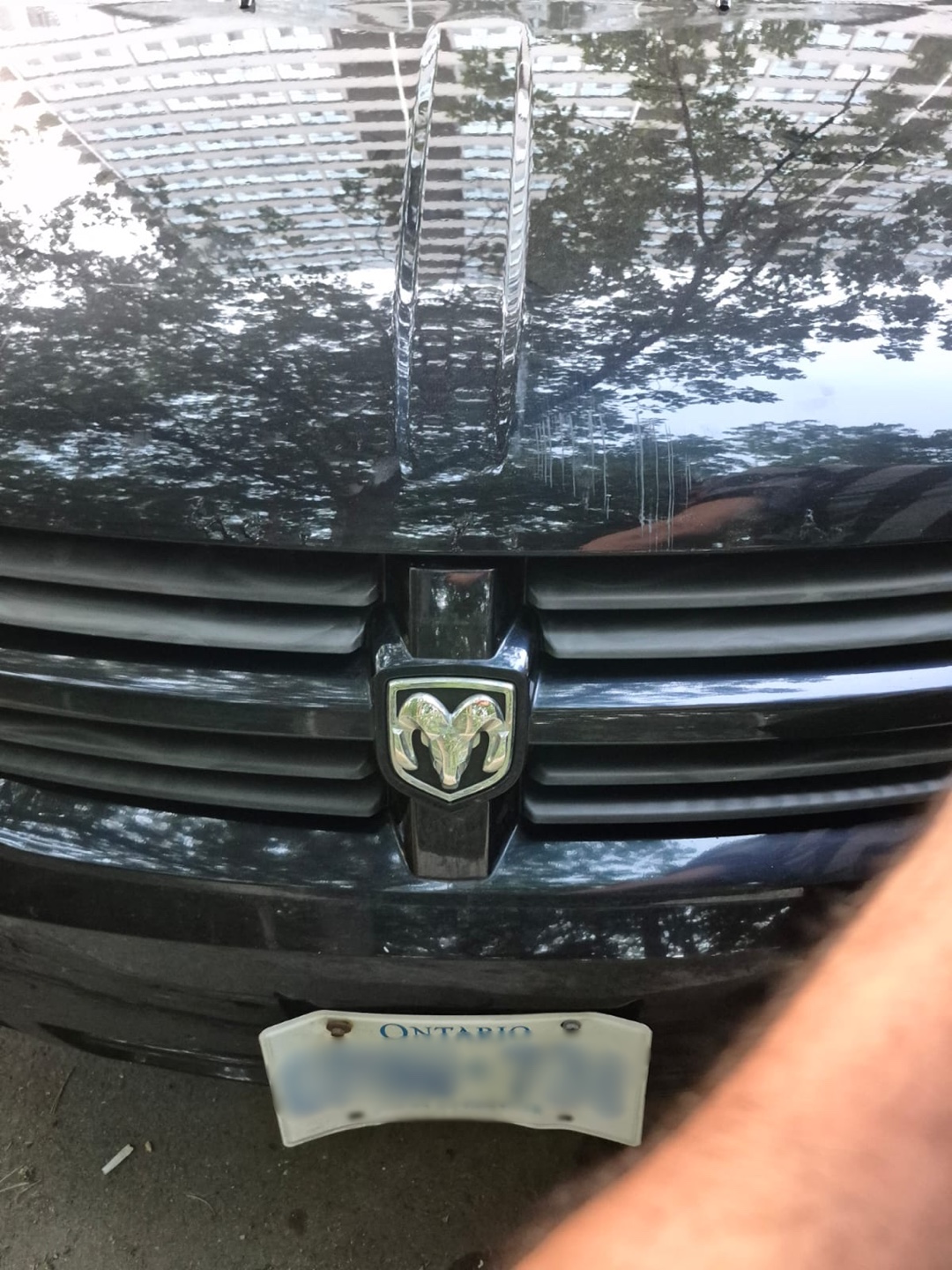 Dodge Grand Caravan 2010- Black Minivan - photo 4