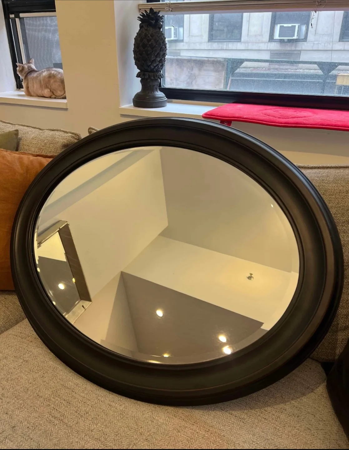 Oval Wall Mirror - Black Frame 🥕 thumbnail
