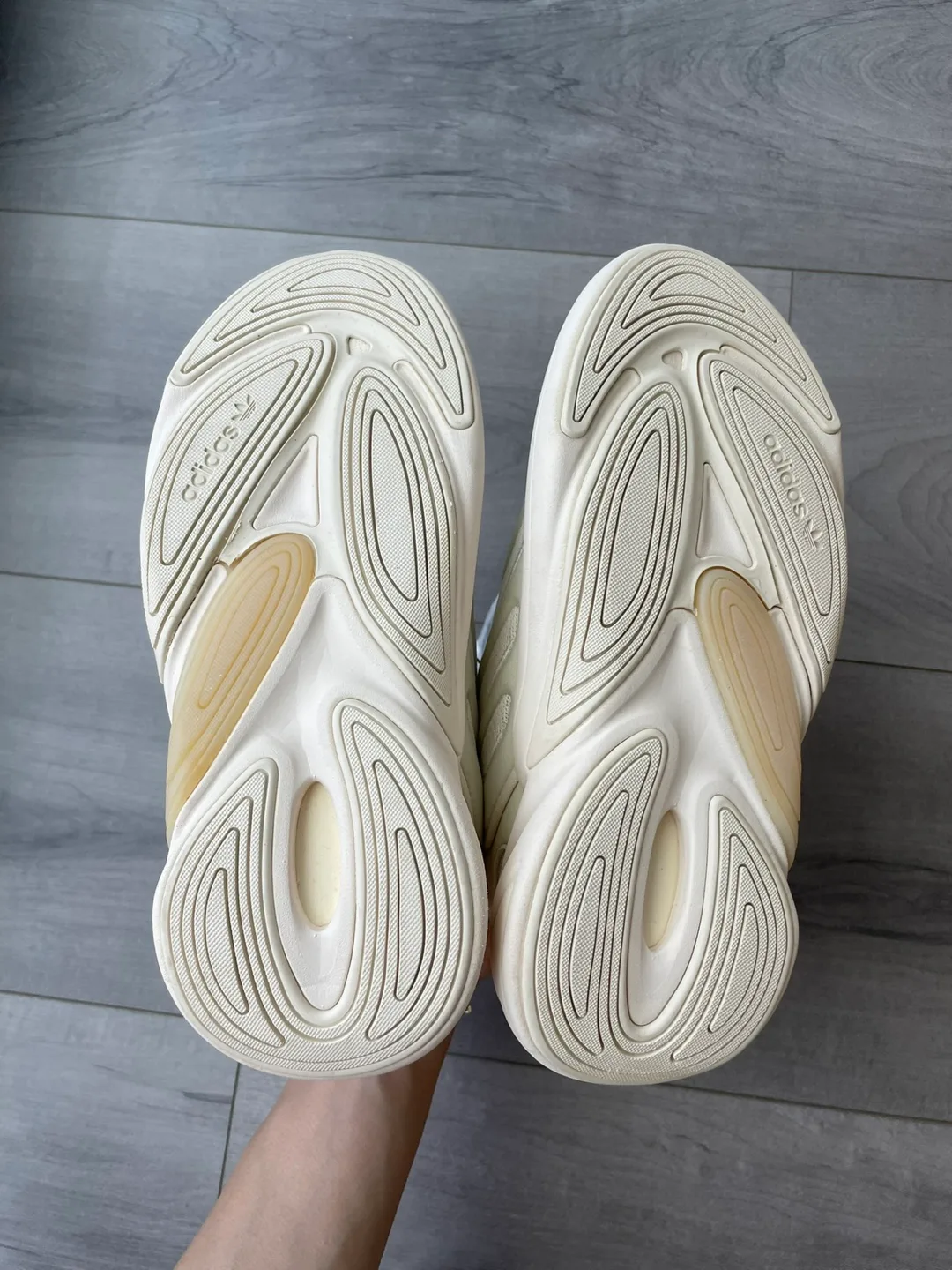 Adidas Ozelia Off White - Size 5 image indicator(6)