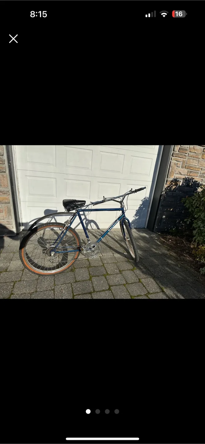 Raleigh Safari Bike thumbnail