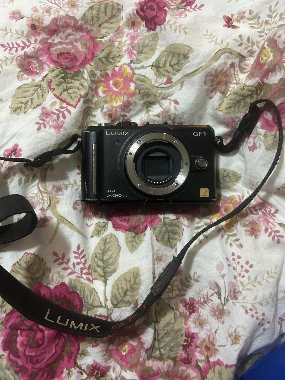 Panasonic Lumix GF1 Camera thumbnail