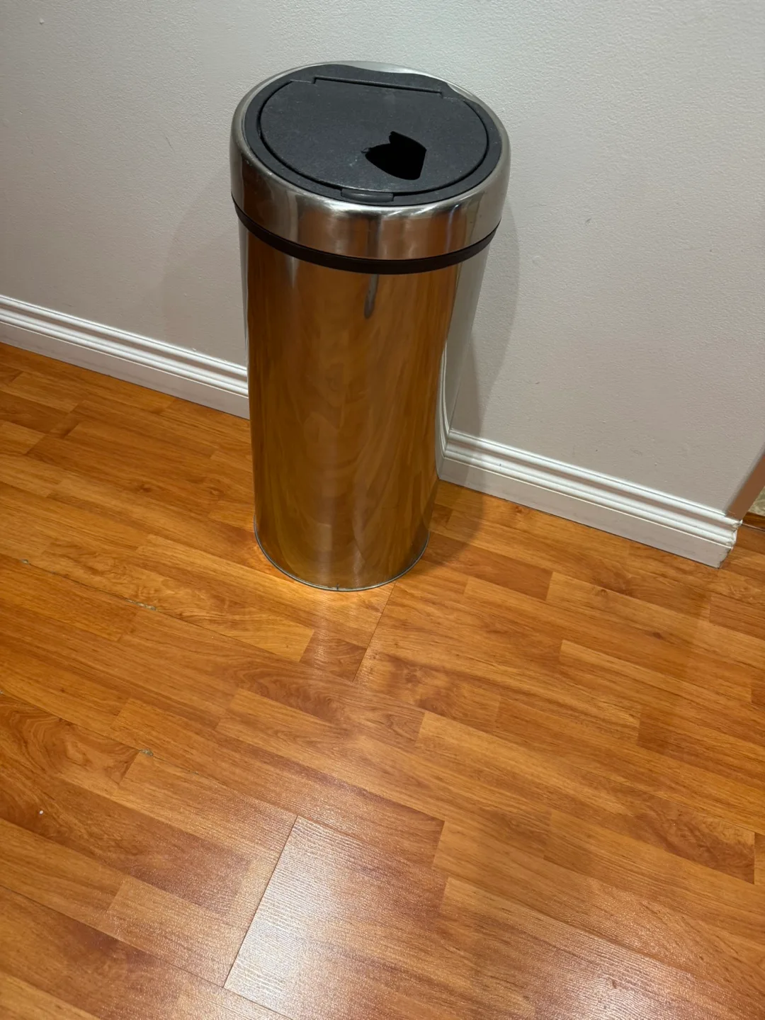 Stainless Steel Trash Can thumbnail