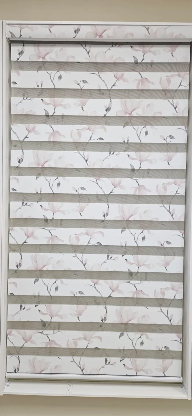 Window Roller Blinds - Zebra Shades thumbnail