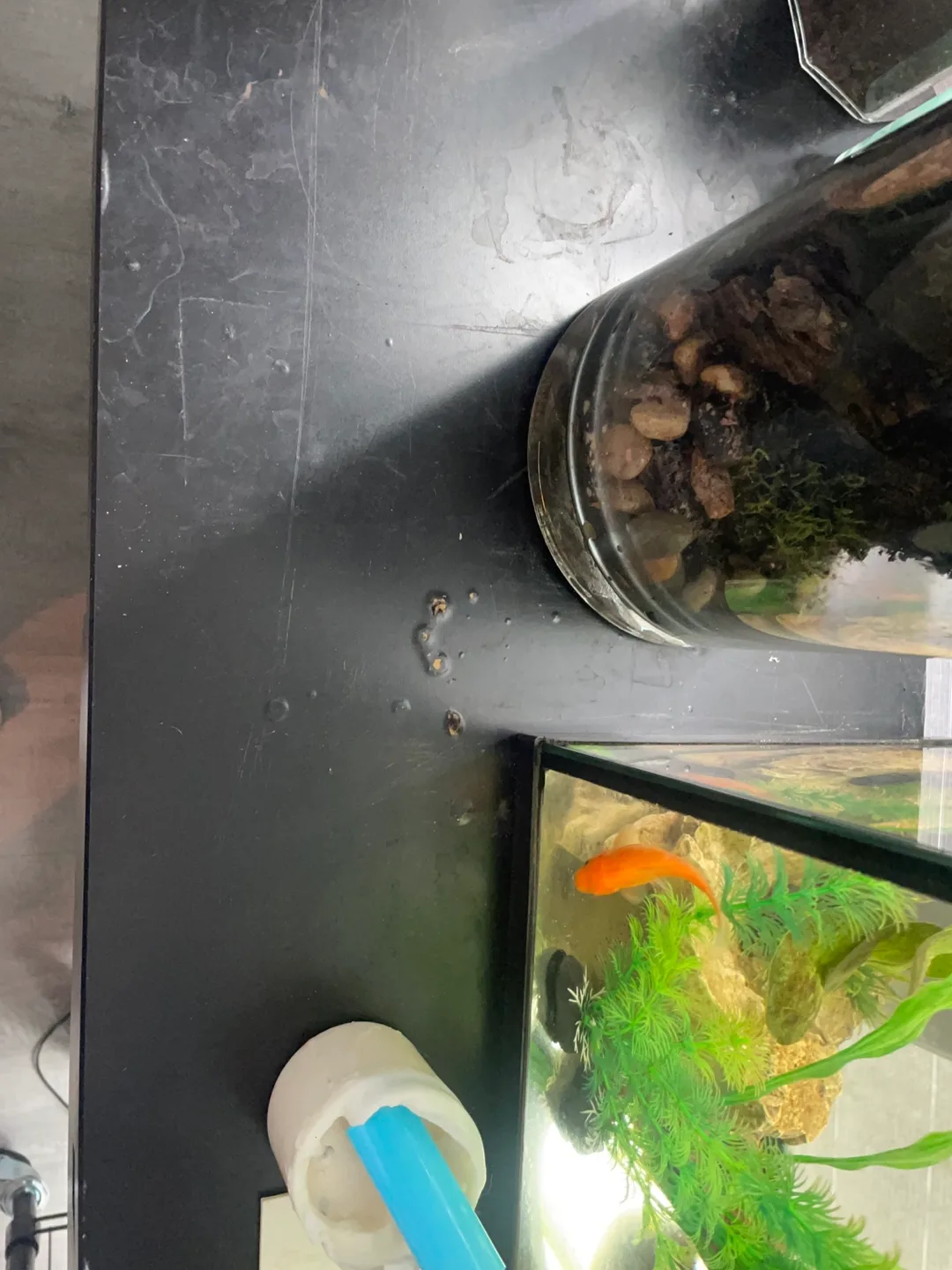 Black Console Table image indicator(2)