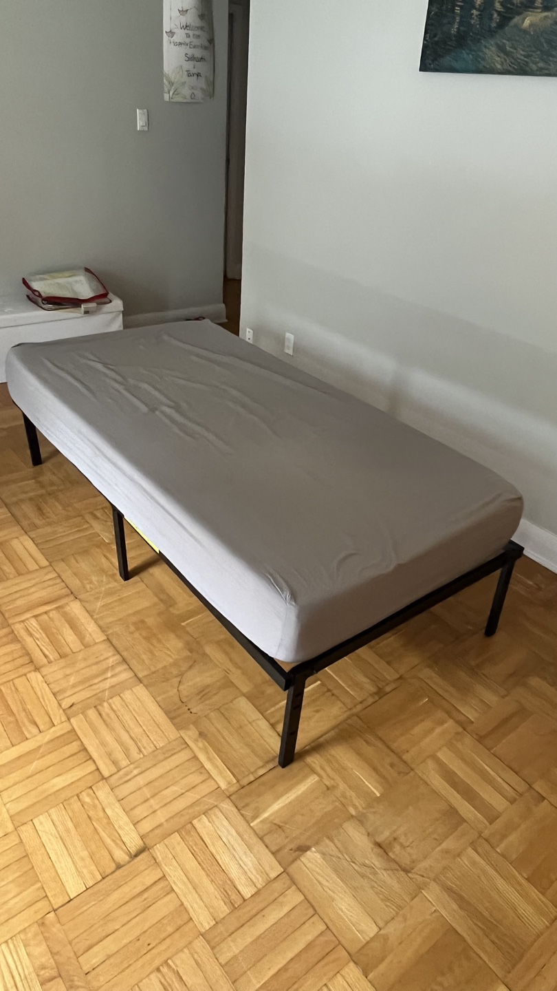 Twin - Black Metal Bed Frame with Mattress