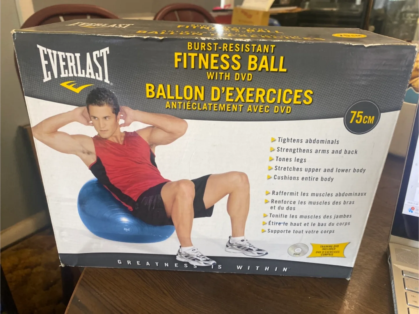 Everlast 75cm Fitness Ball with DVD thumbnail