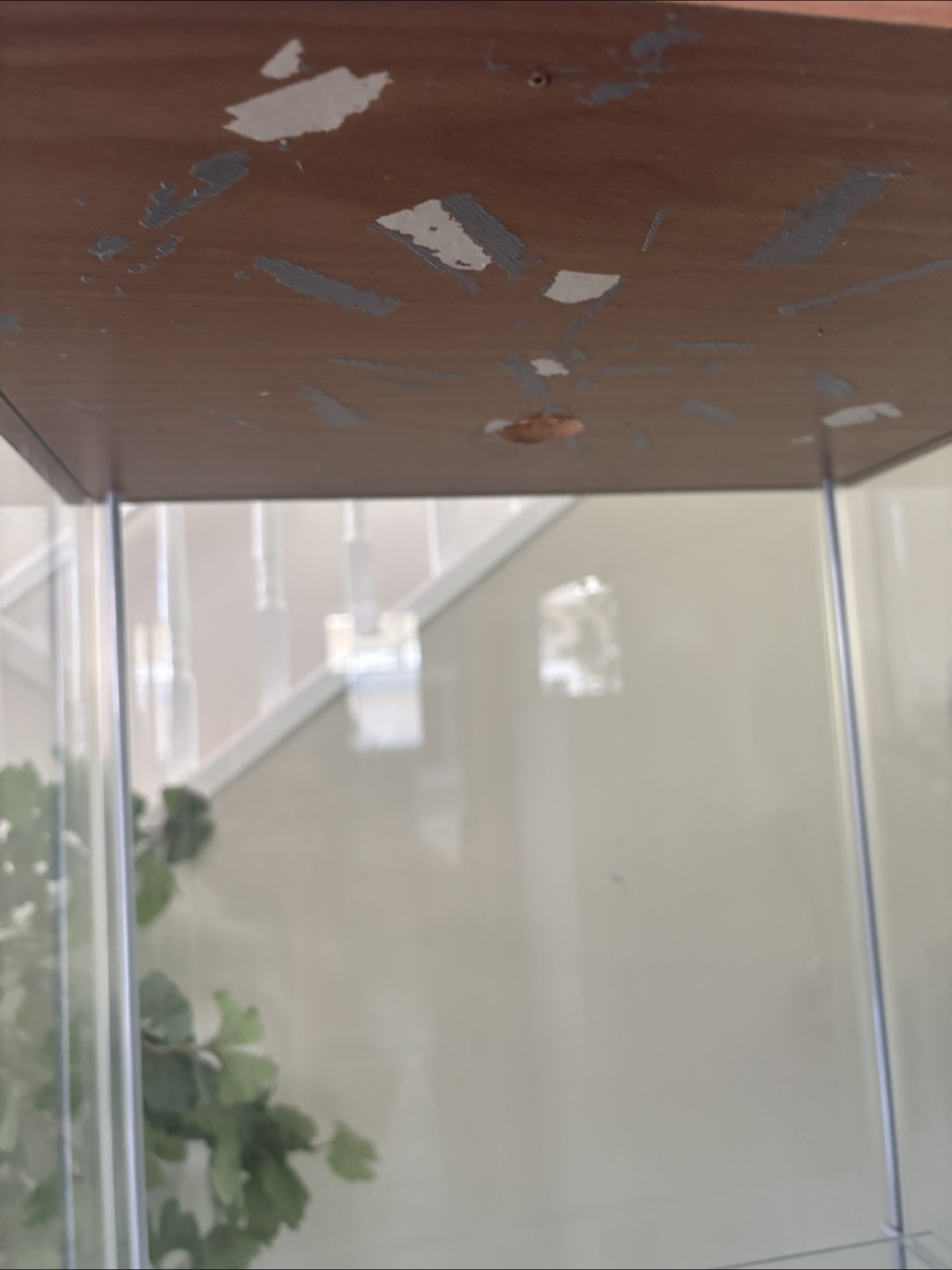 🇨🇦 IKEA Glass Display Cabinet - photo 3