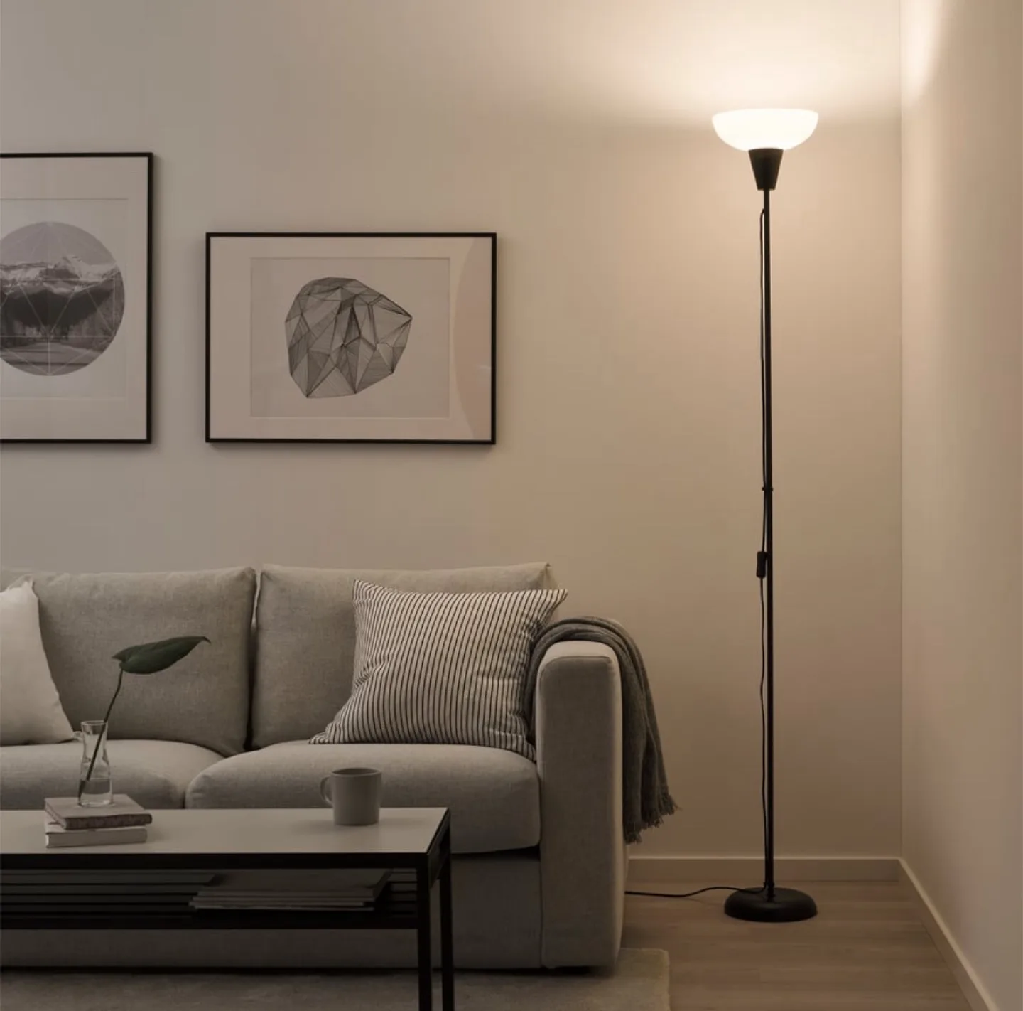 IKEA Floor Lamp thumbnail
