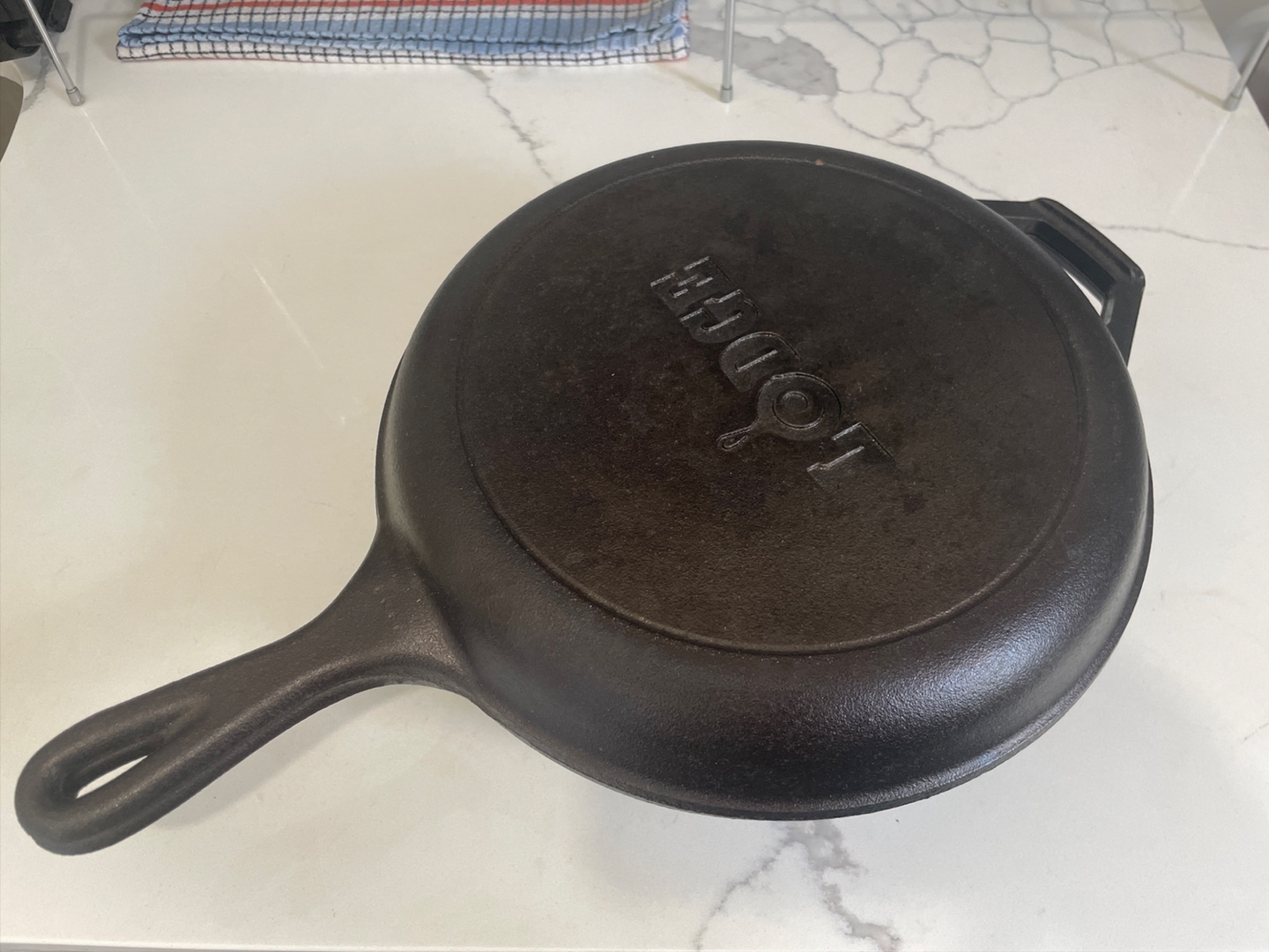 Lodge Cast Iron Skillet