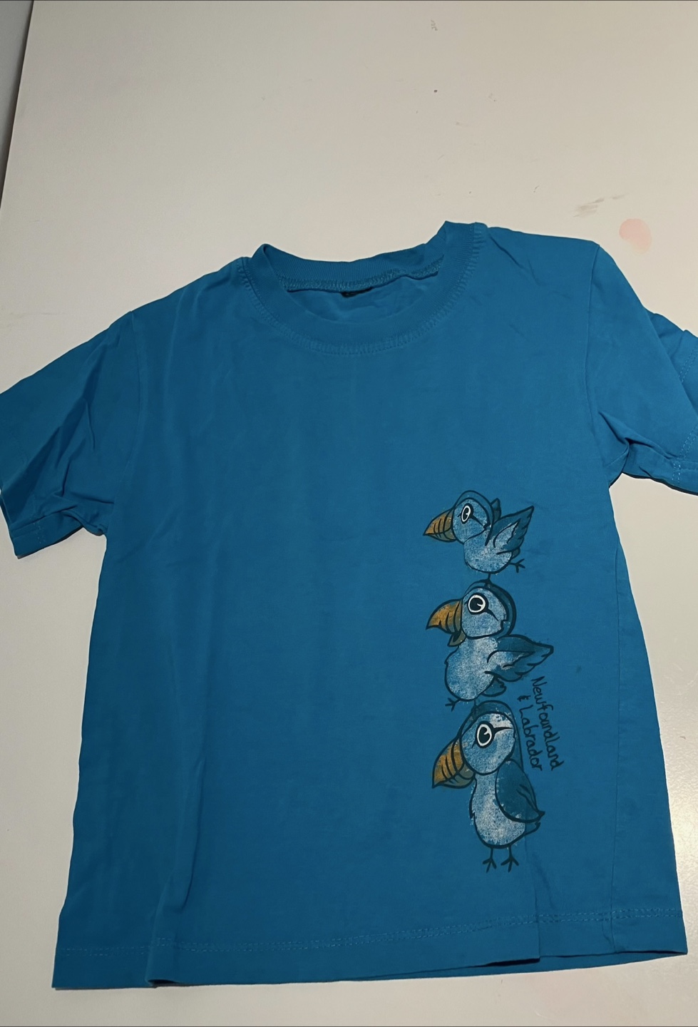 Kids' T-shirts Bundle (6-10) - photo 3