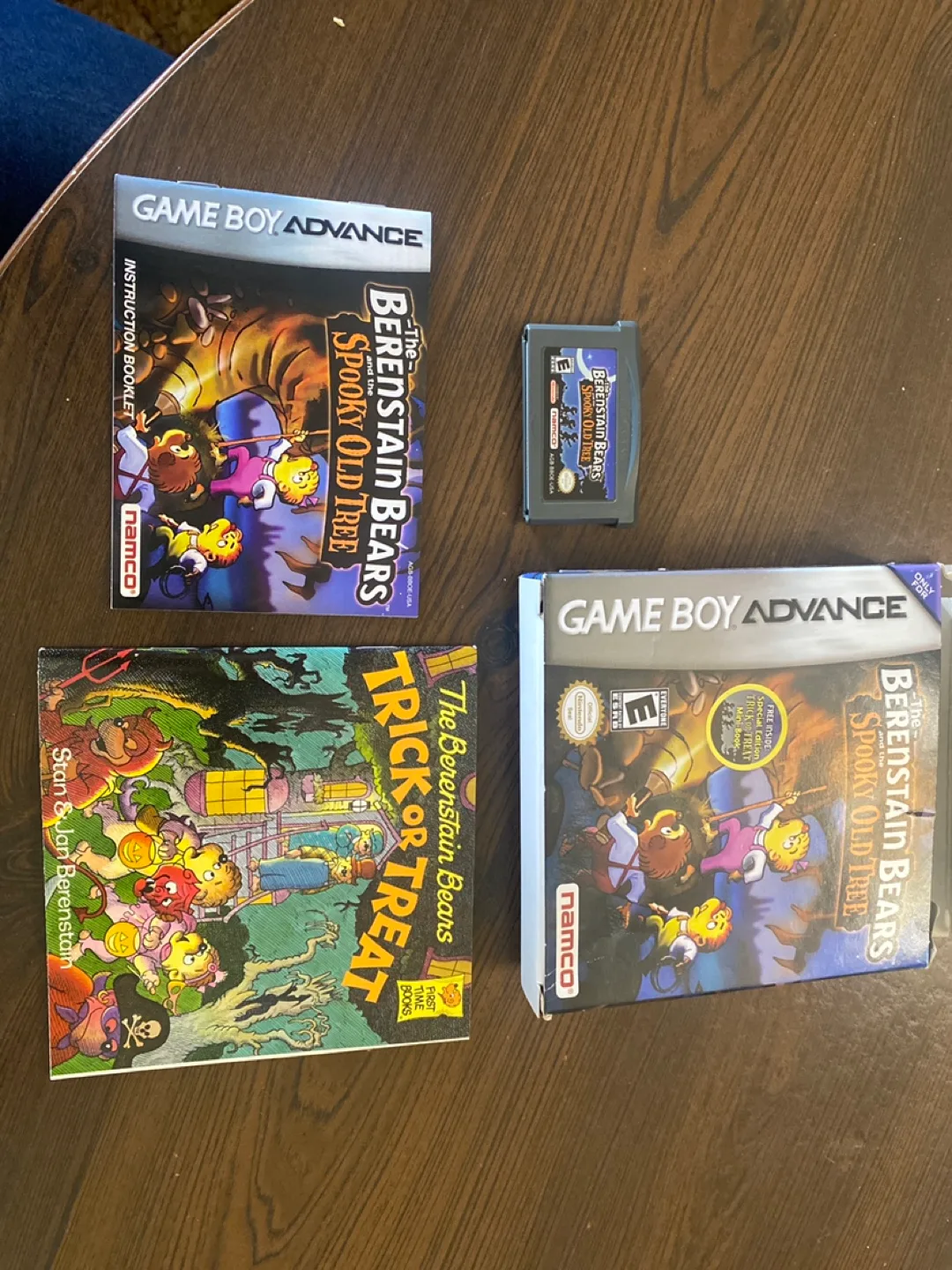 The Berenstain Bears Game Boy Advance Game thumbnail