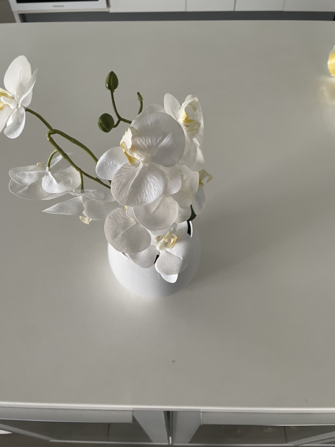 White Artificial Orchid in Pot