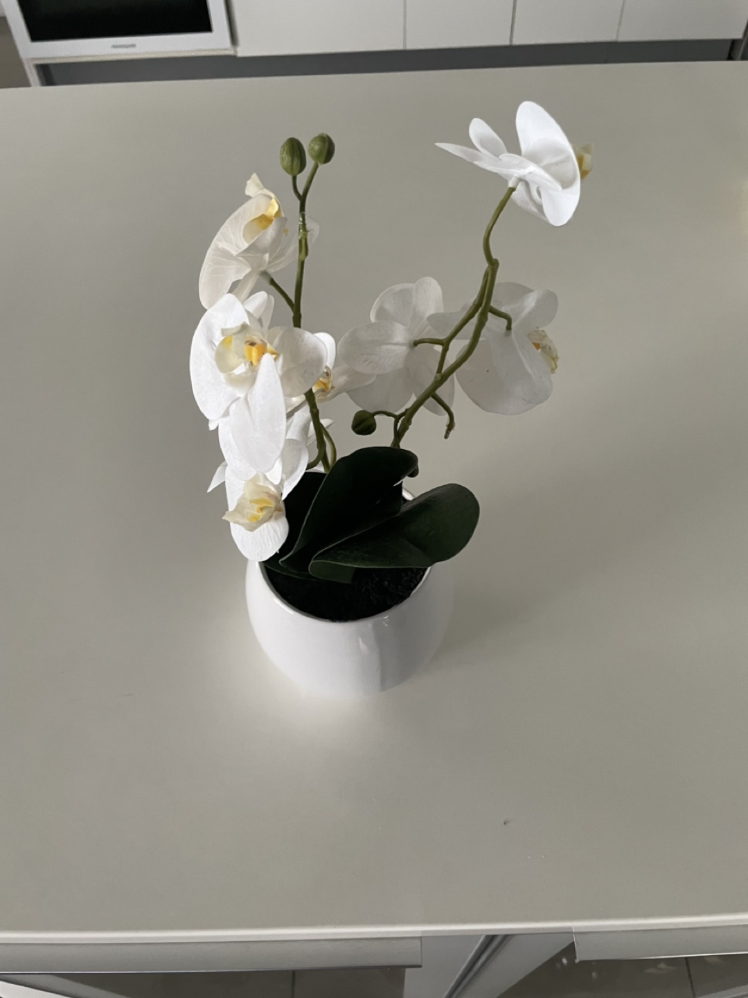 White Artificial Orchid in Pot - photo 2